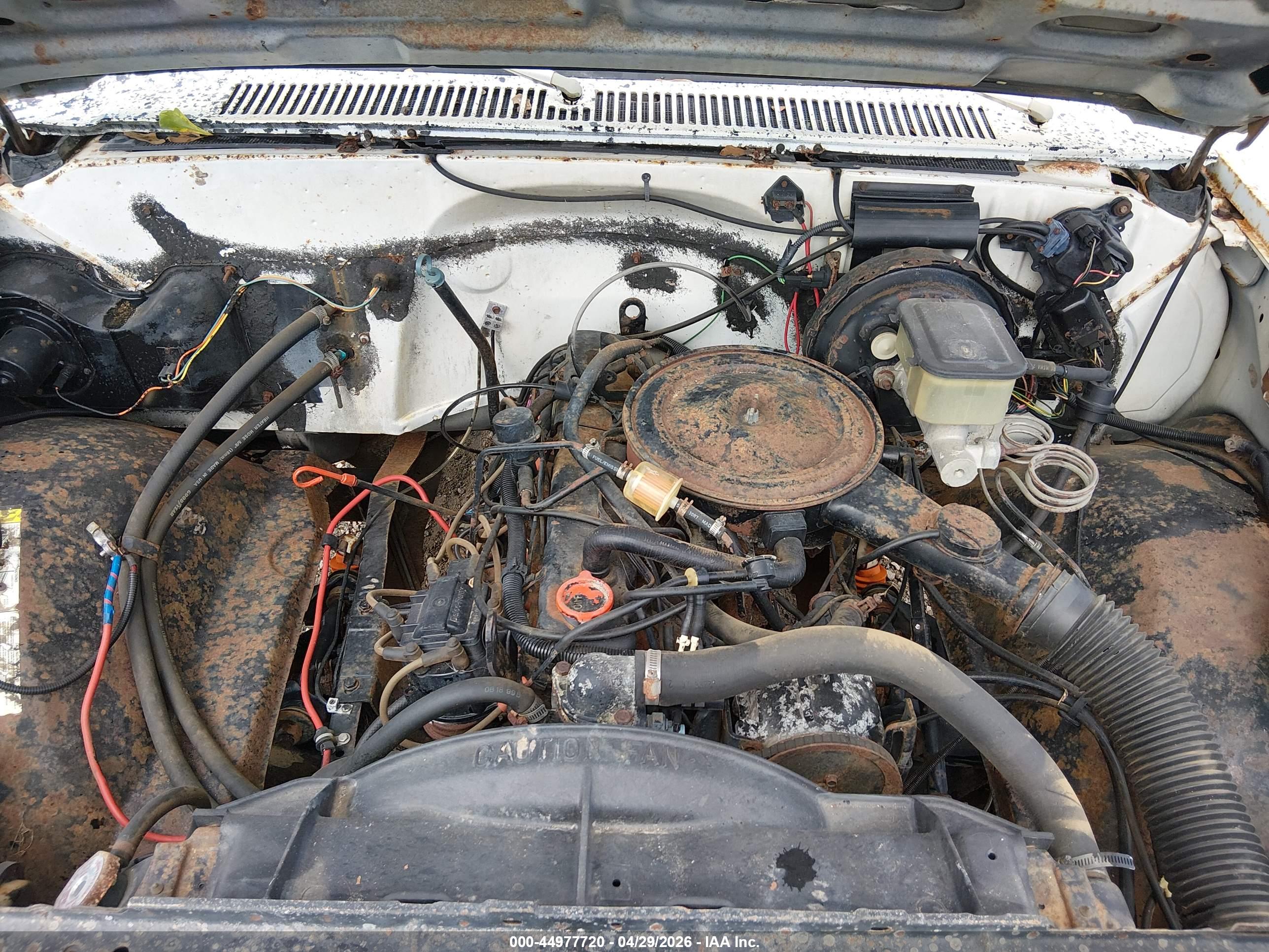 CHEVROLET C10 image 10