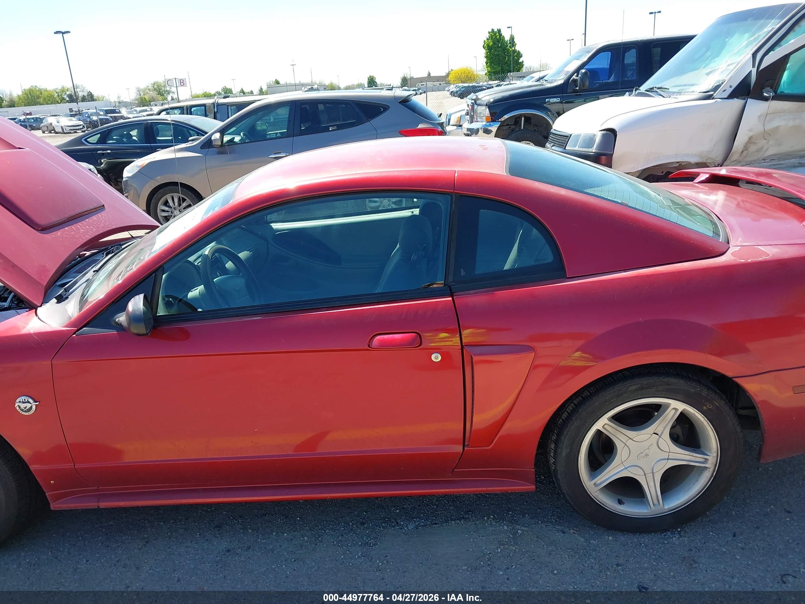 FORD MUSTANG image 6