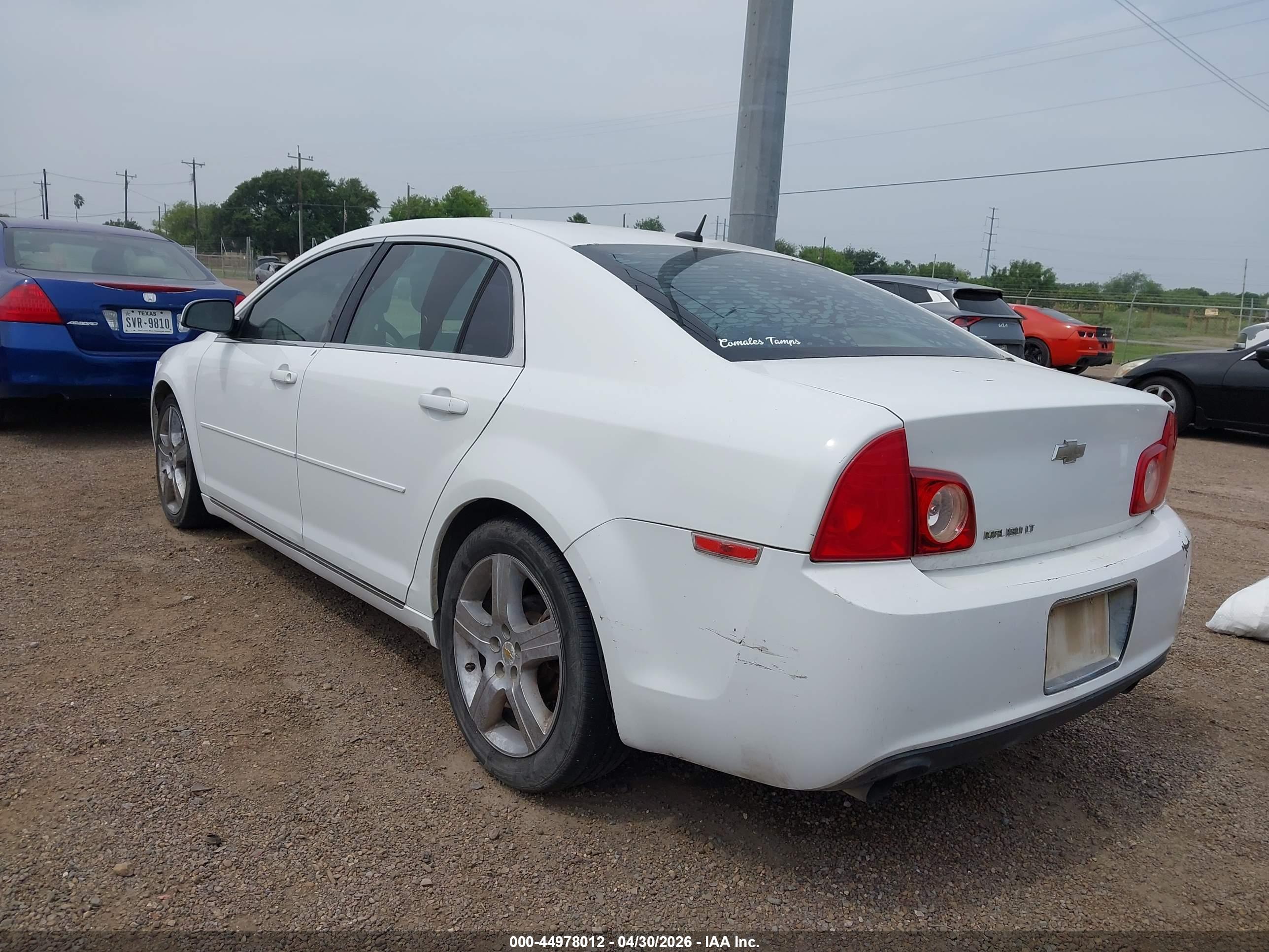 CHEVROLET MALIBU image 3