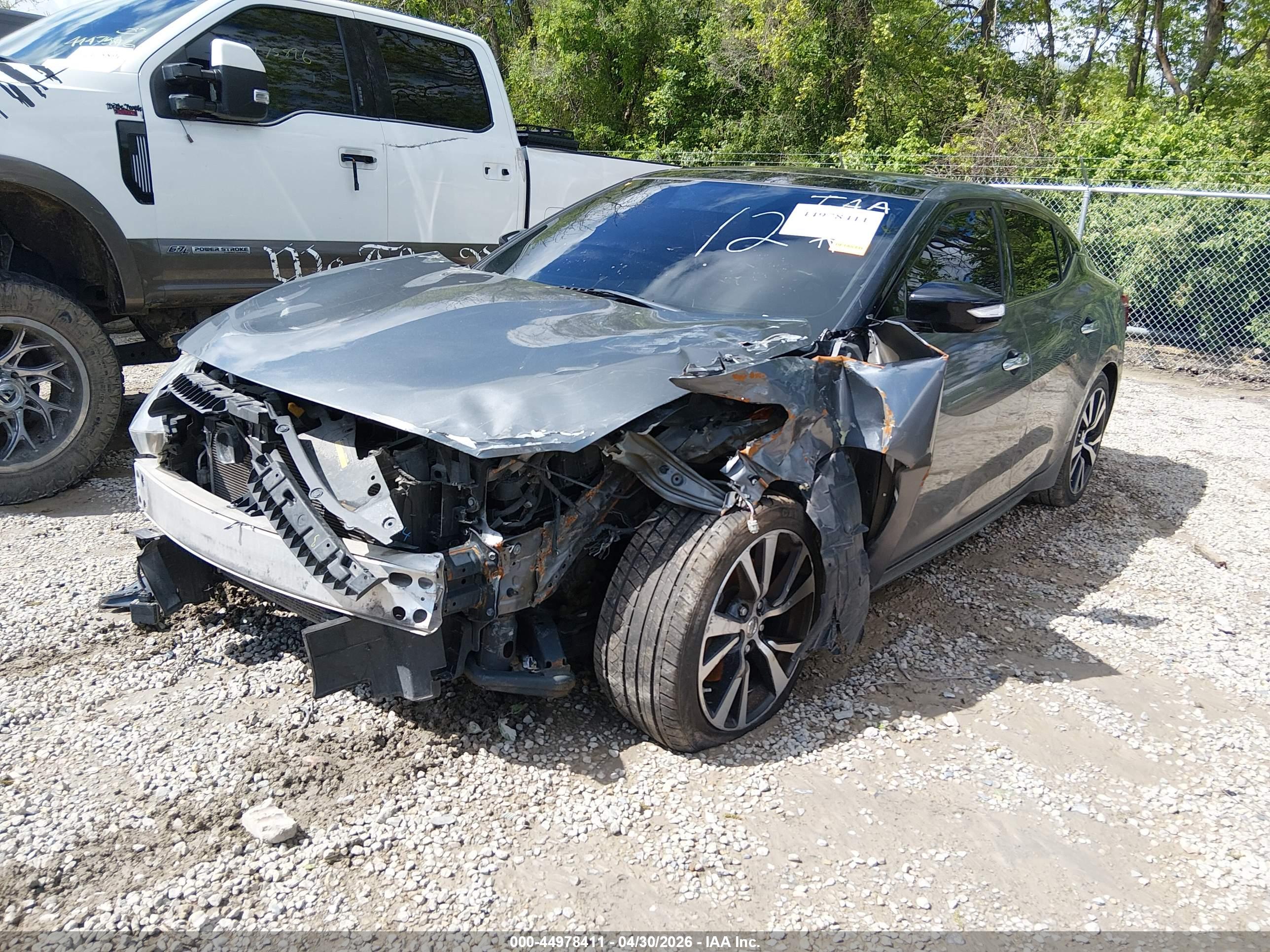 NISSAN MAXIMA image 2