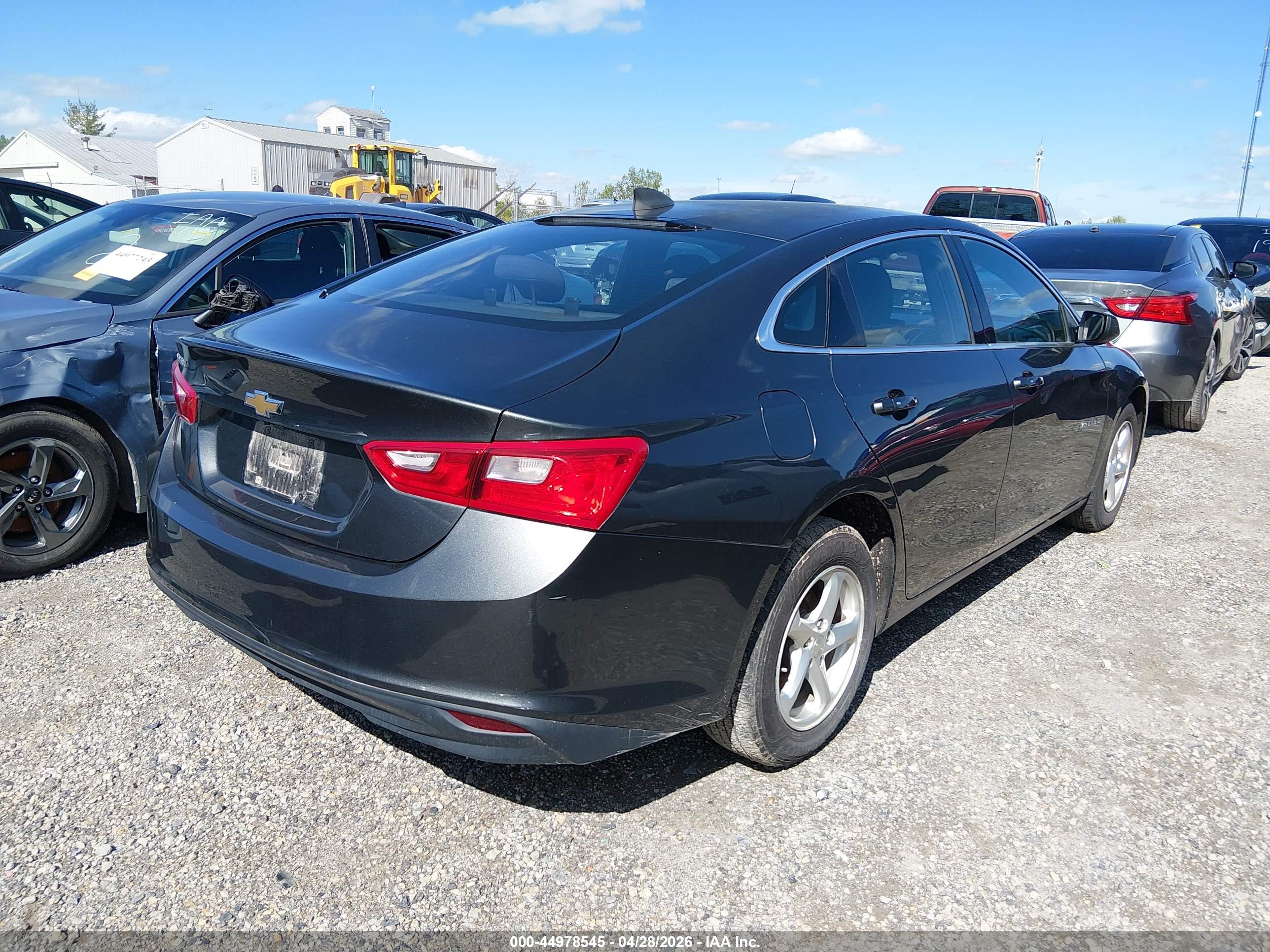 CHEVROLET MALIBU image 4