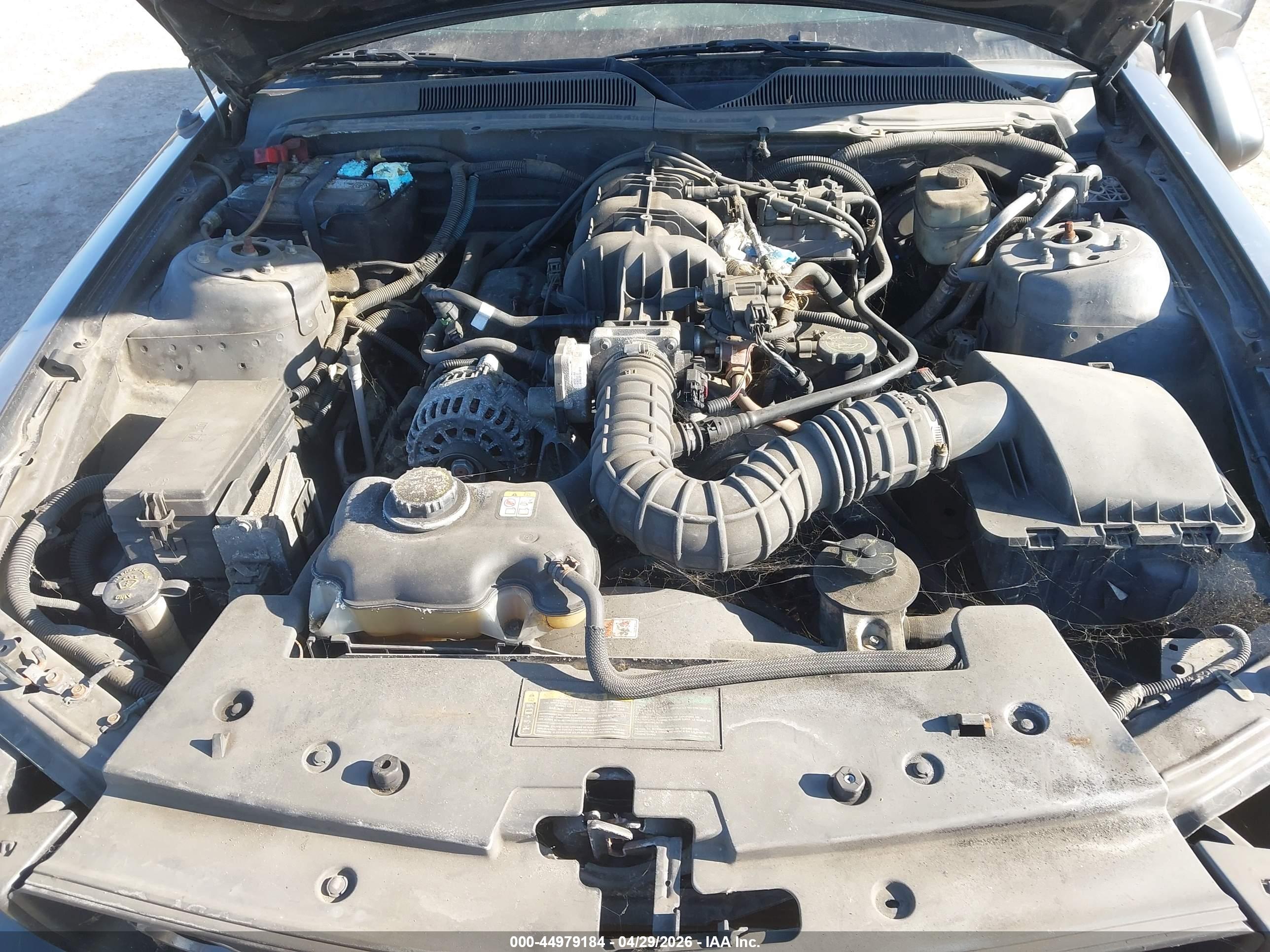 FORD MUSTANG image 10