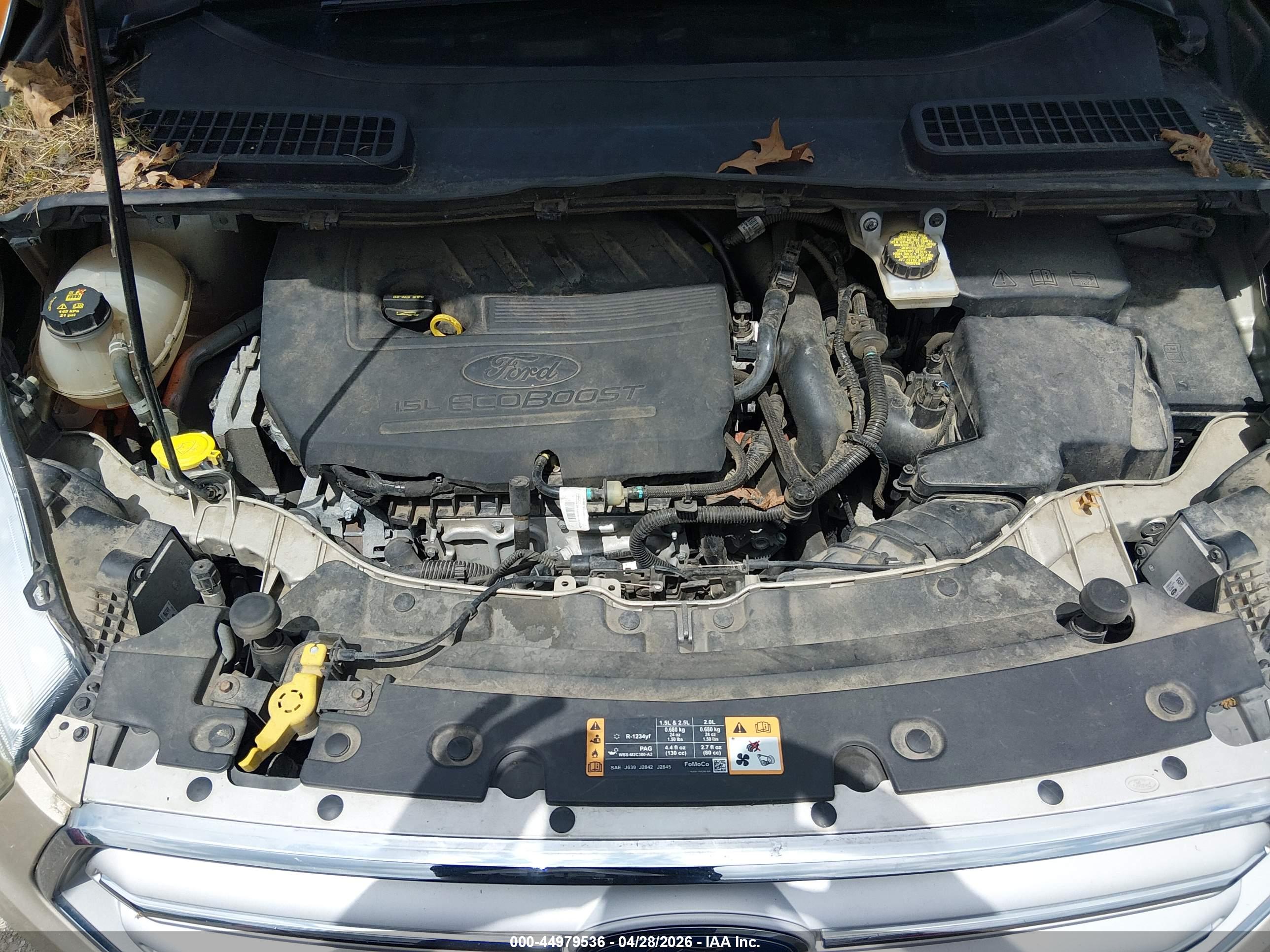FORD ESCAPE image 10