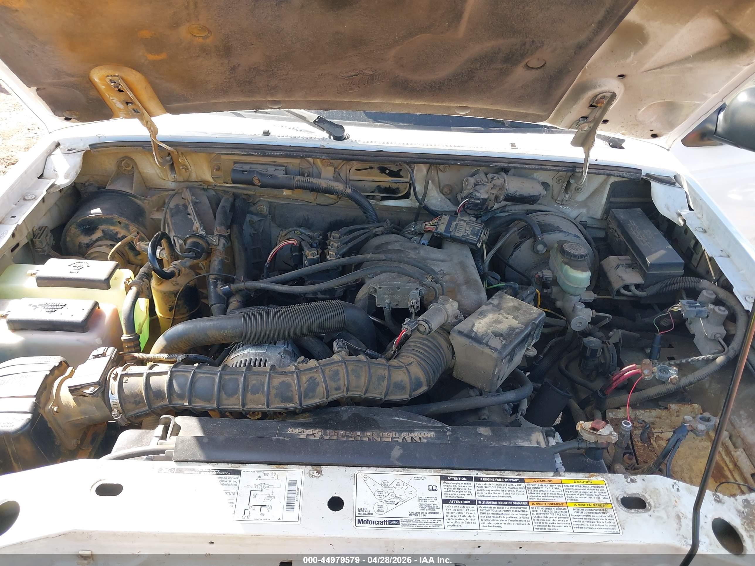 FORD RANGER image 10