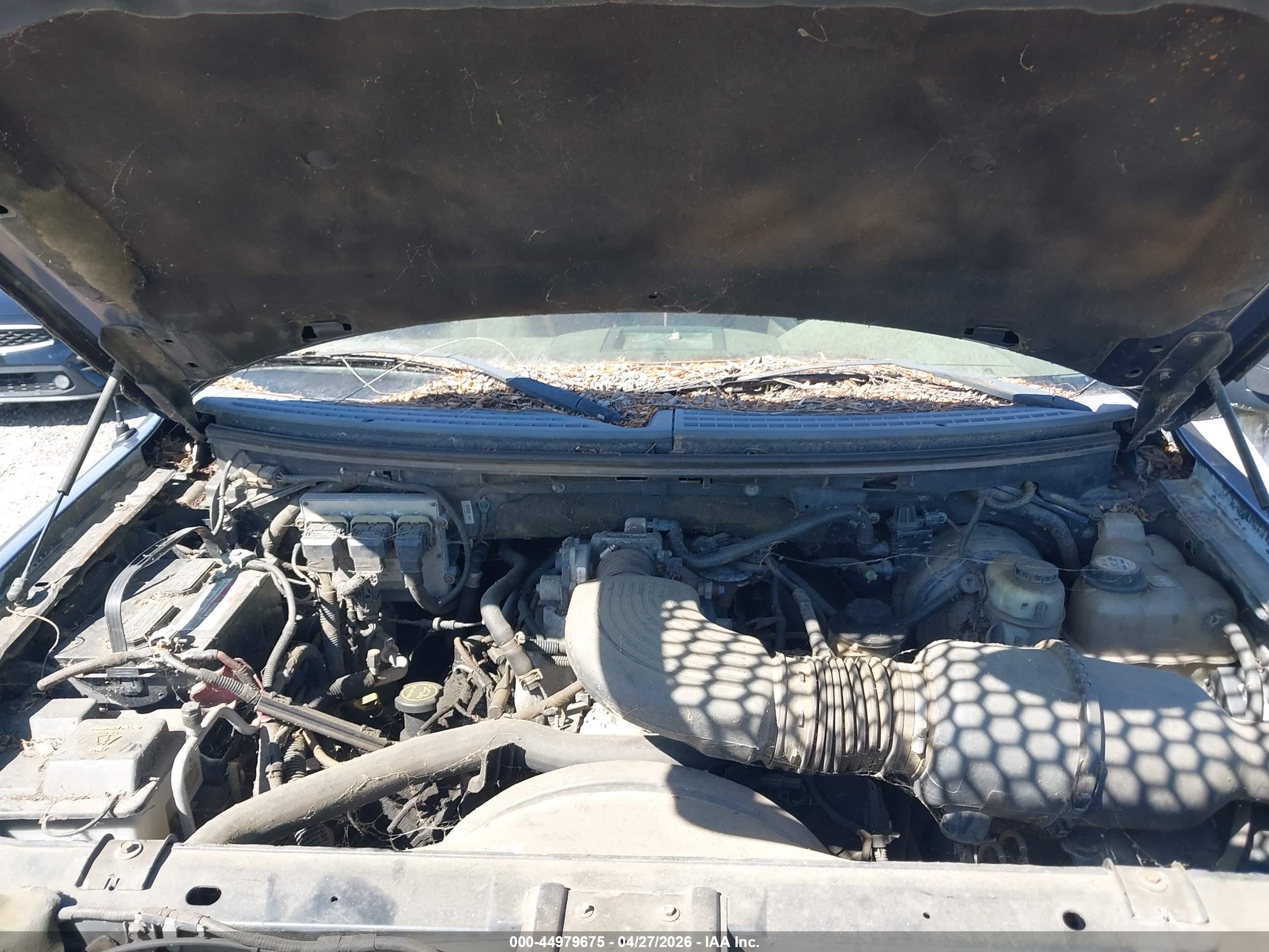 FORD F-150 image 10