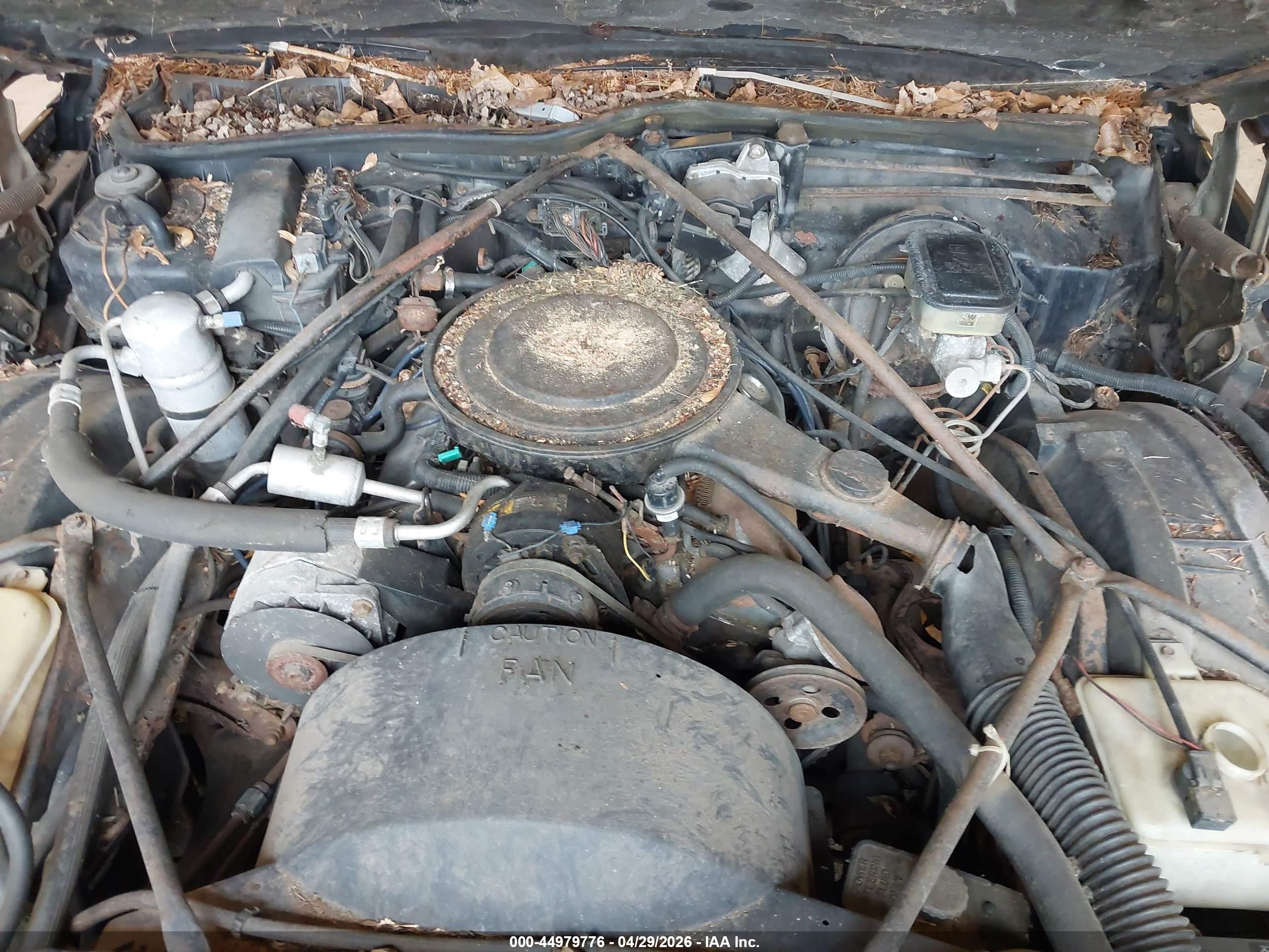 CADILLAC DEVILLE image 10