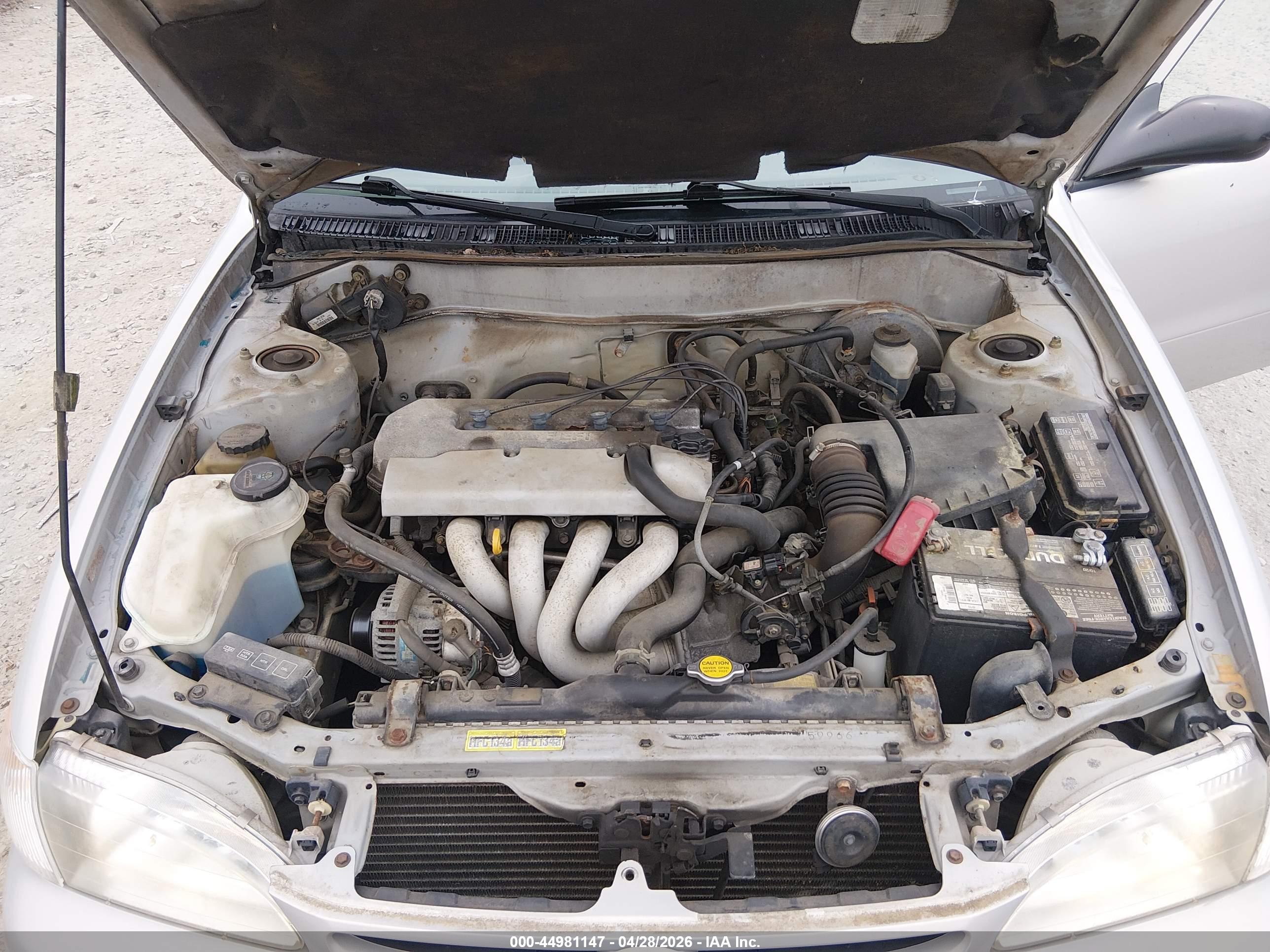 TOYOTA COROLLA image 10