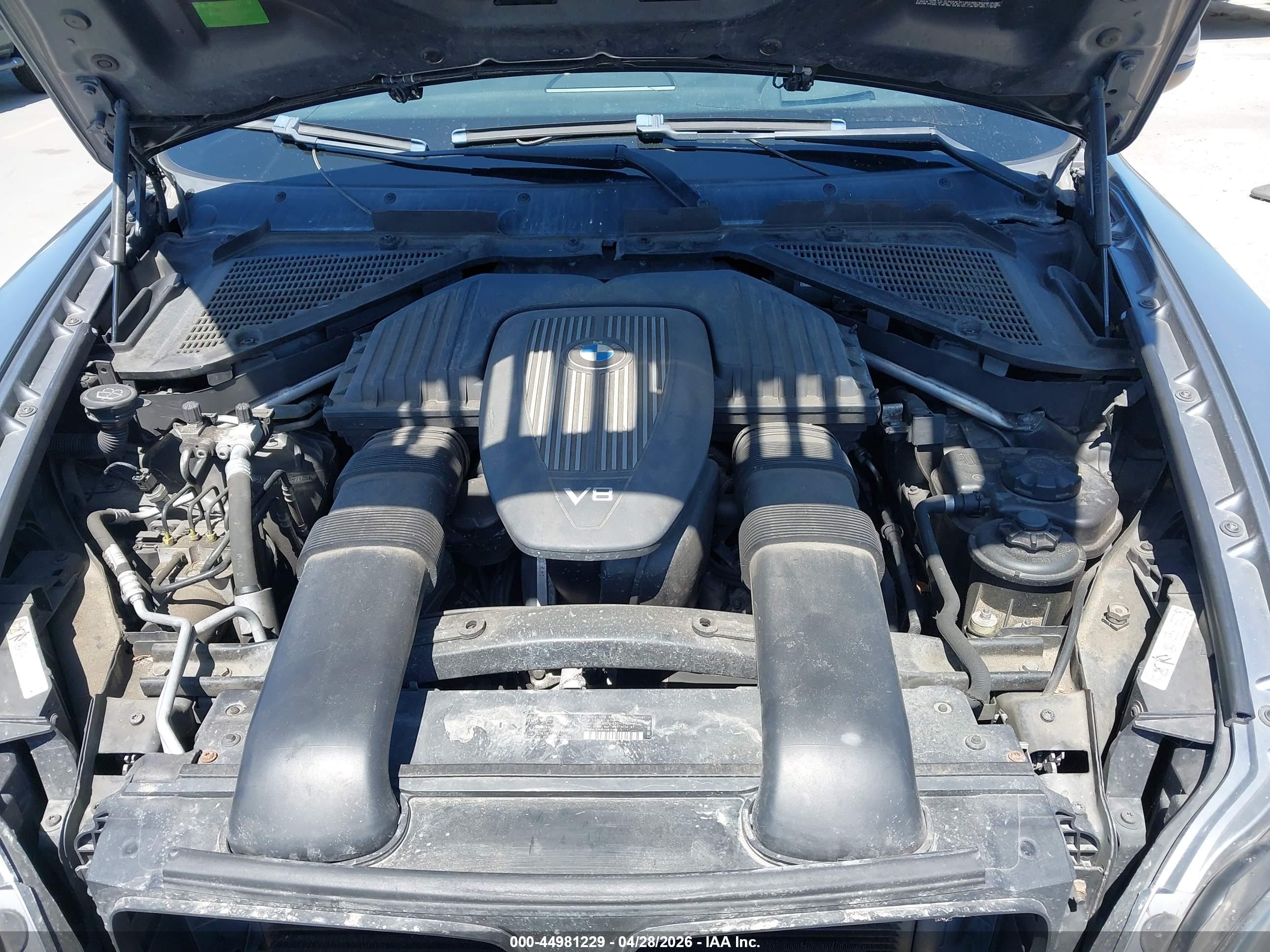 BMW X5 image 10
