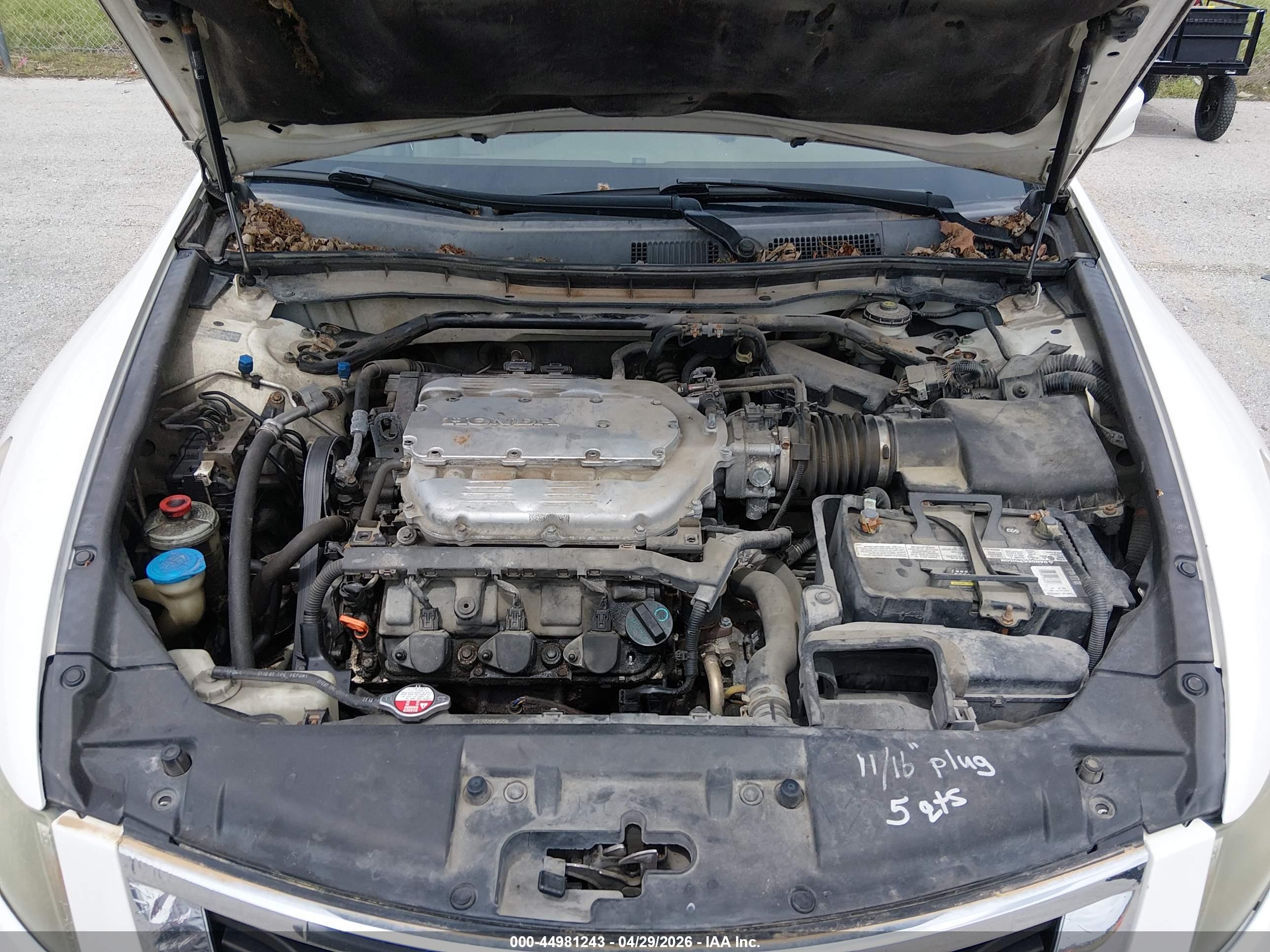 HONDA ACCORD image 10