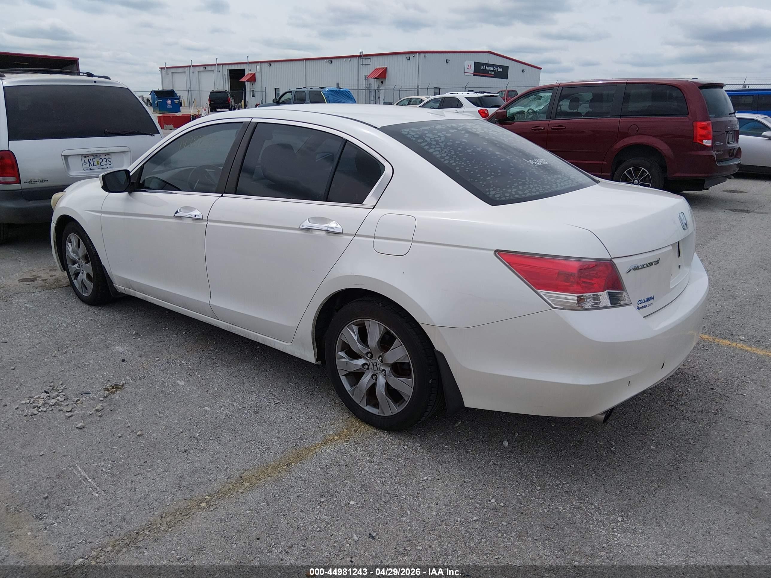 HONDA ACCORD image 3