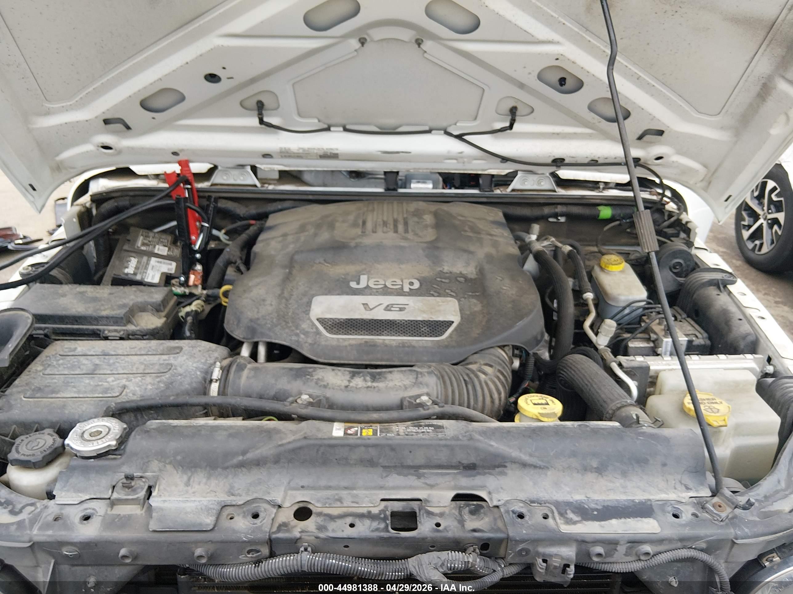 JEEP WRANGLER image 10