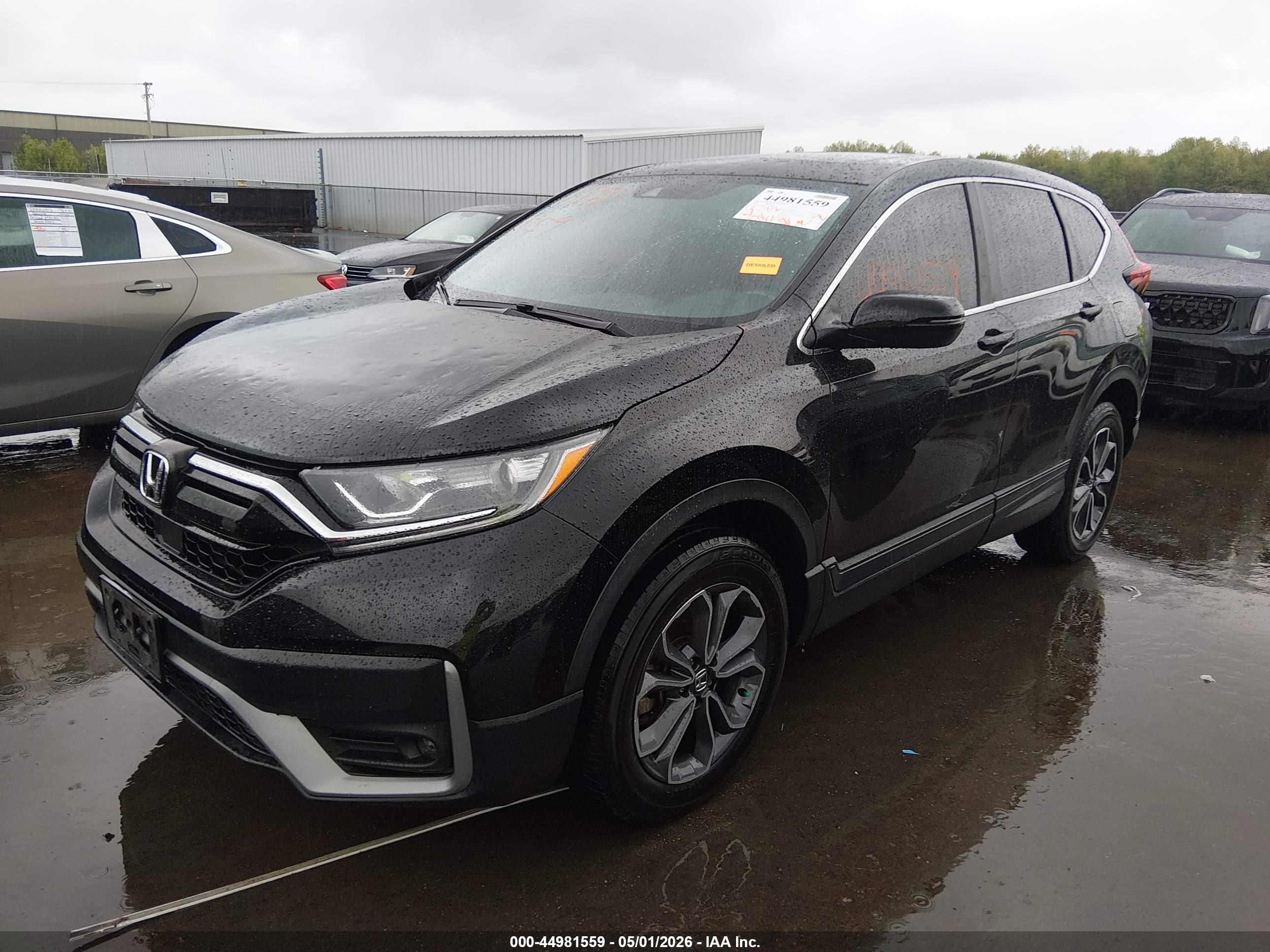 HONDA CR-V image 2