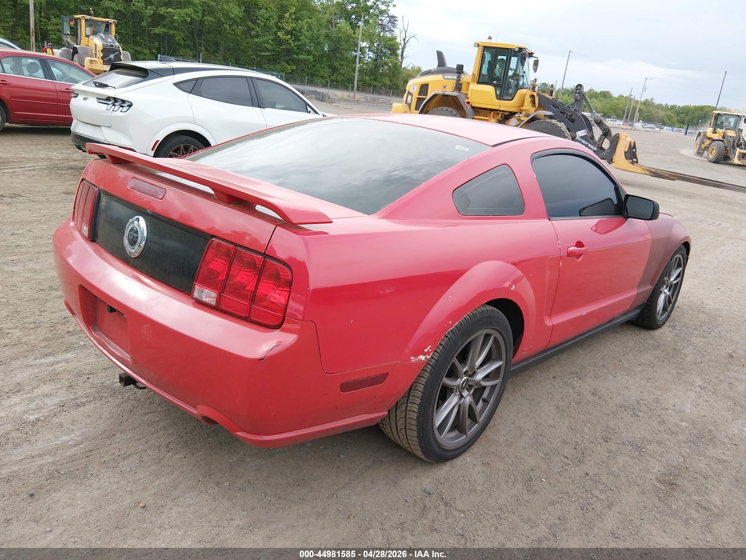 FORD MUSTANG image 4