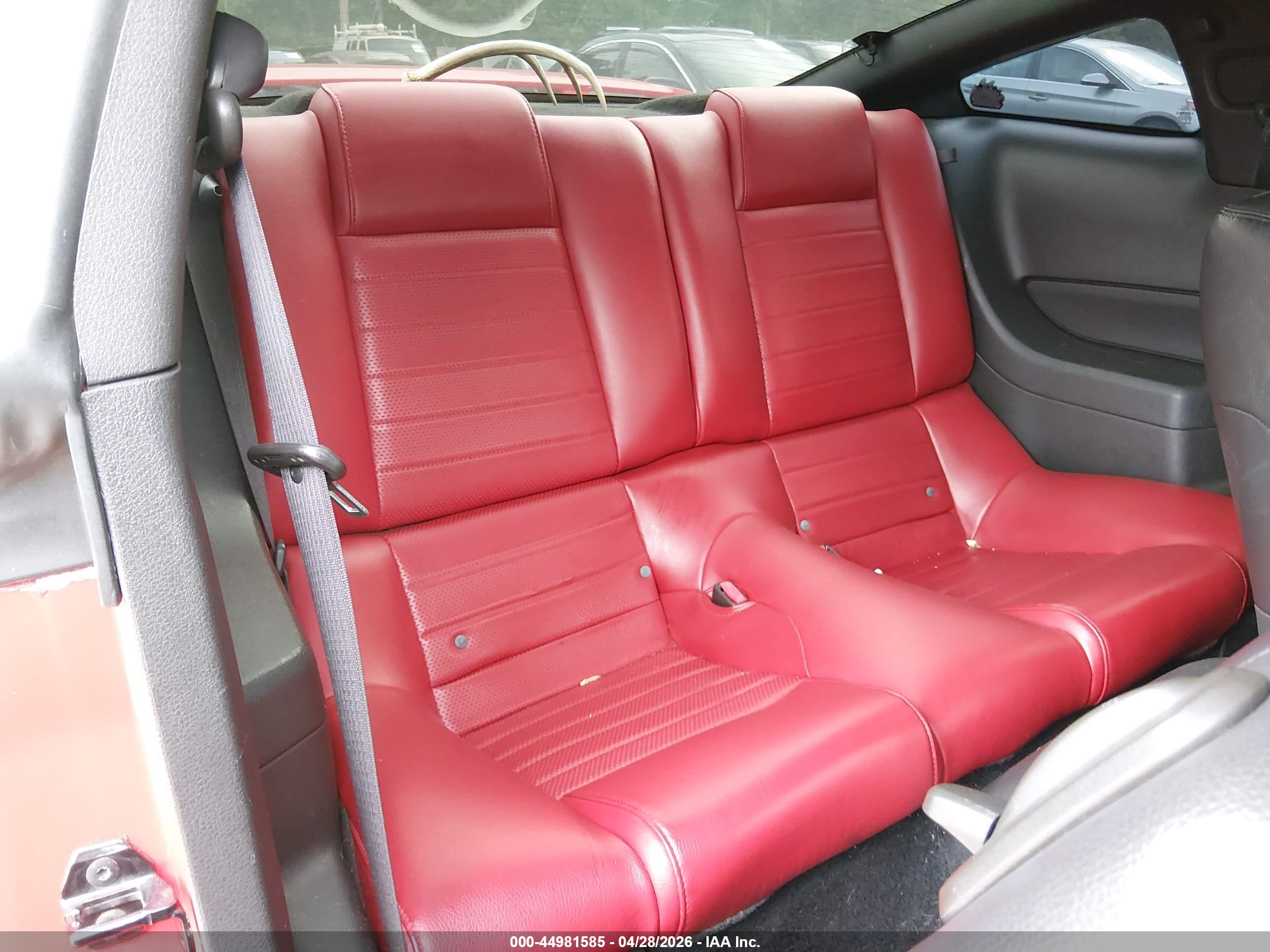 FORD MUSTANG image 8