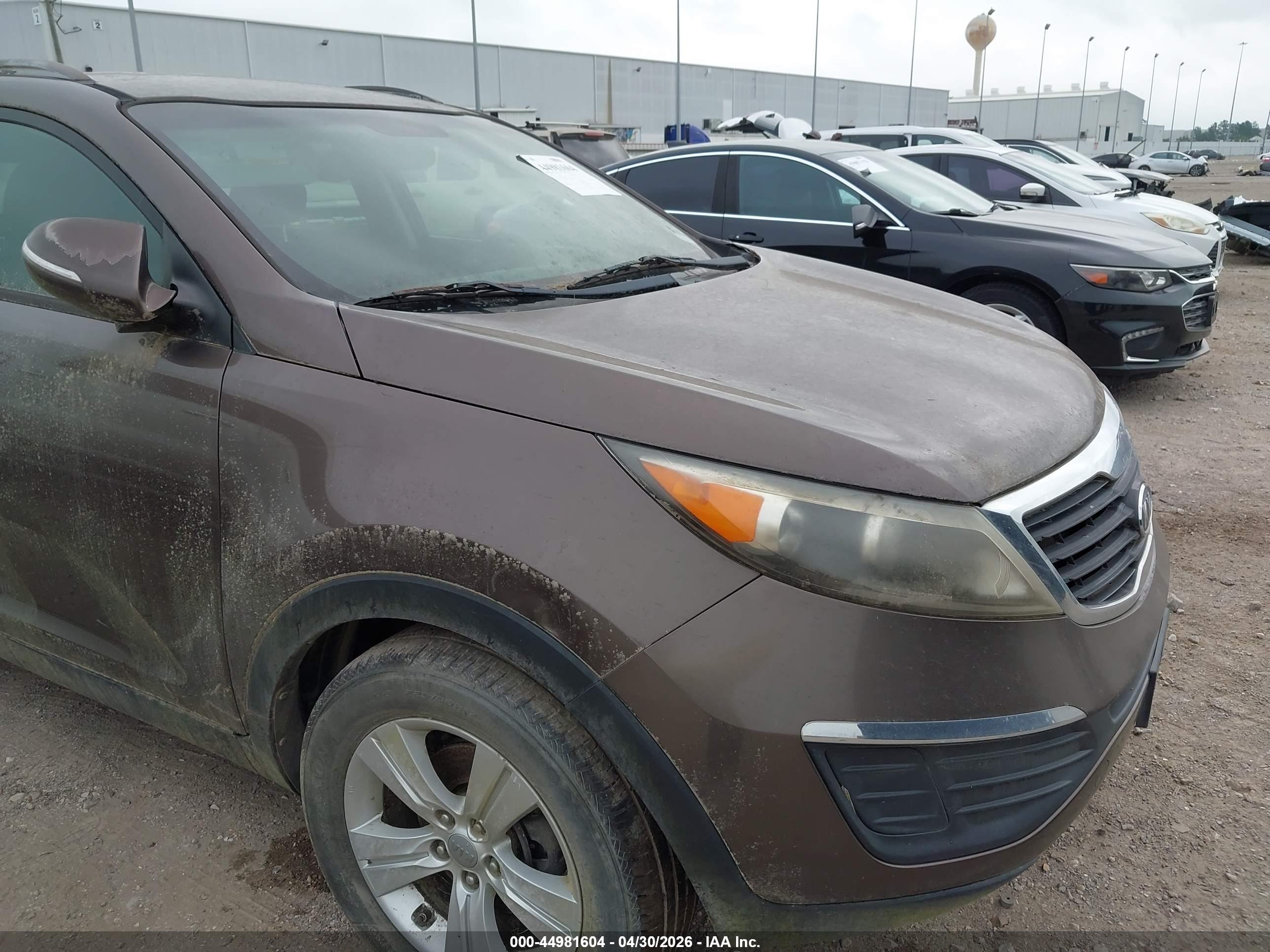 KIA SPORTAGE image 6