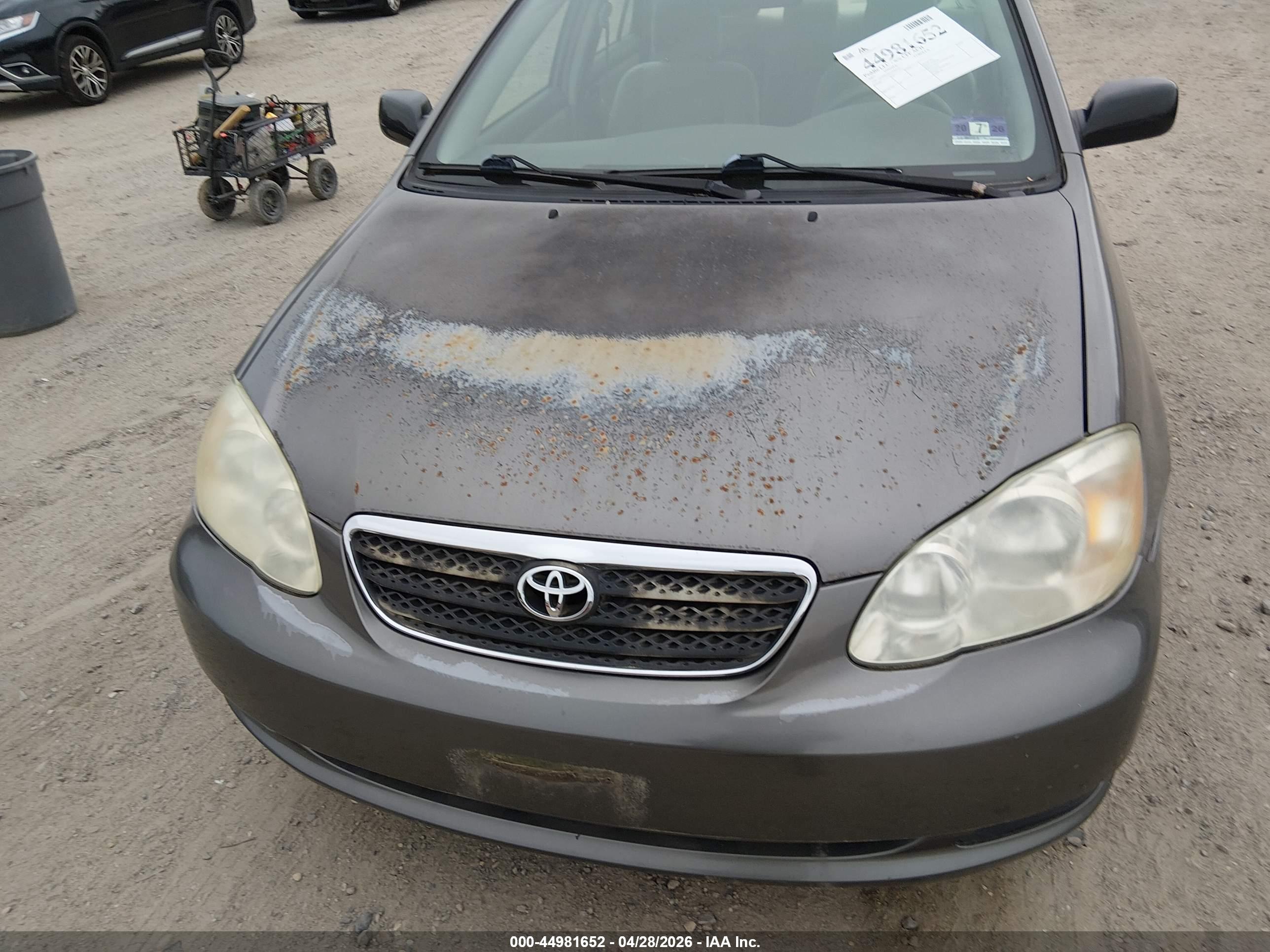 TOYOTA COROLLA image 6