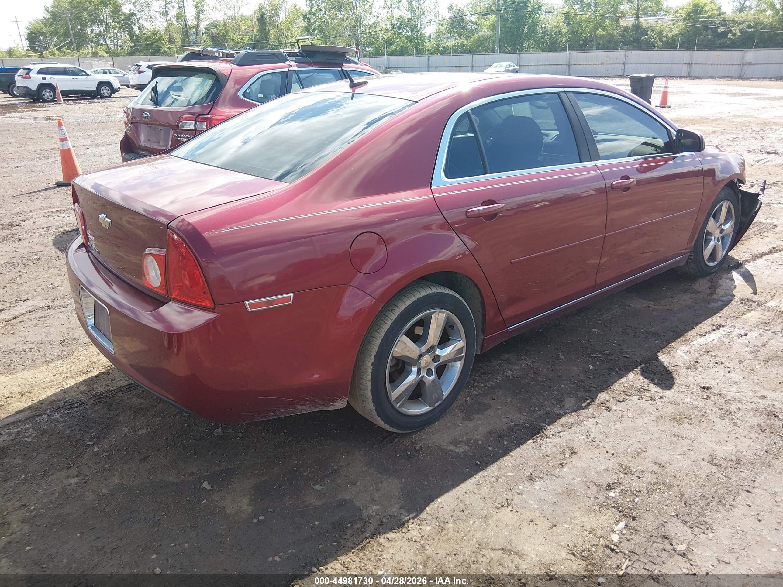 CHEVROLET MALIBU image 4