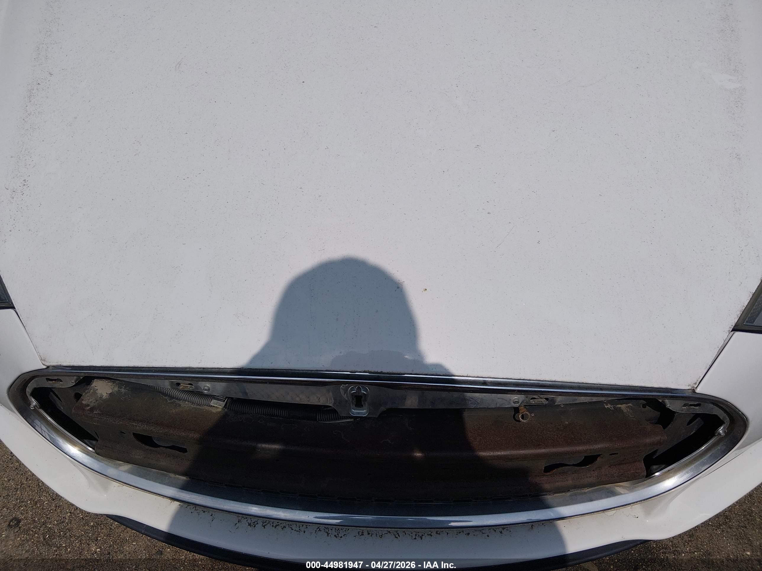 TESLA MODEL image 10