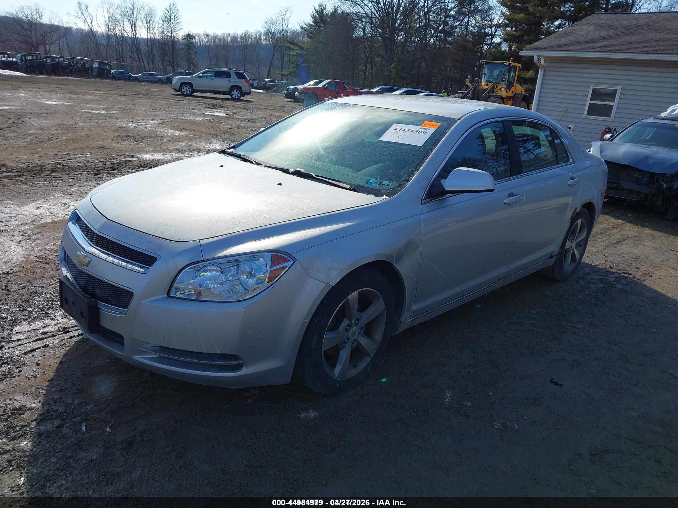 CHEVROLET MALIBU image 2
