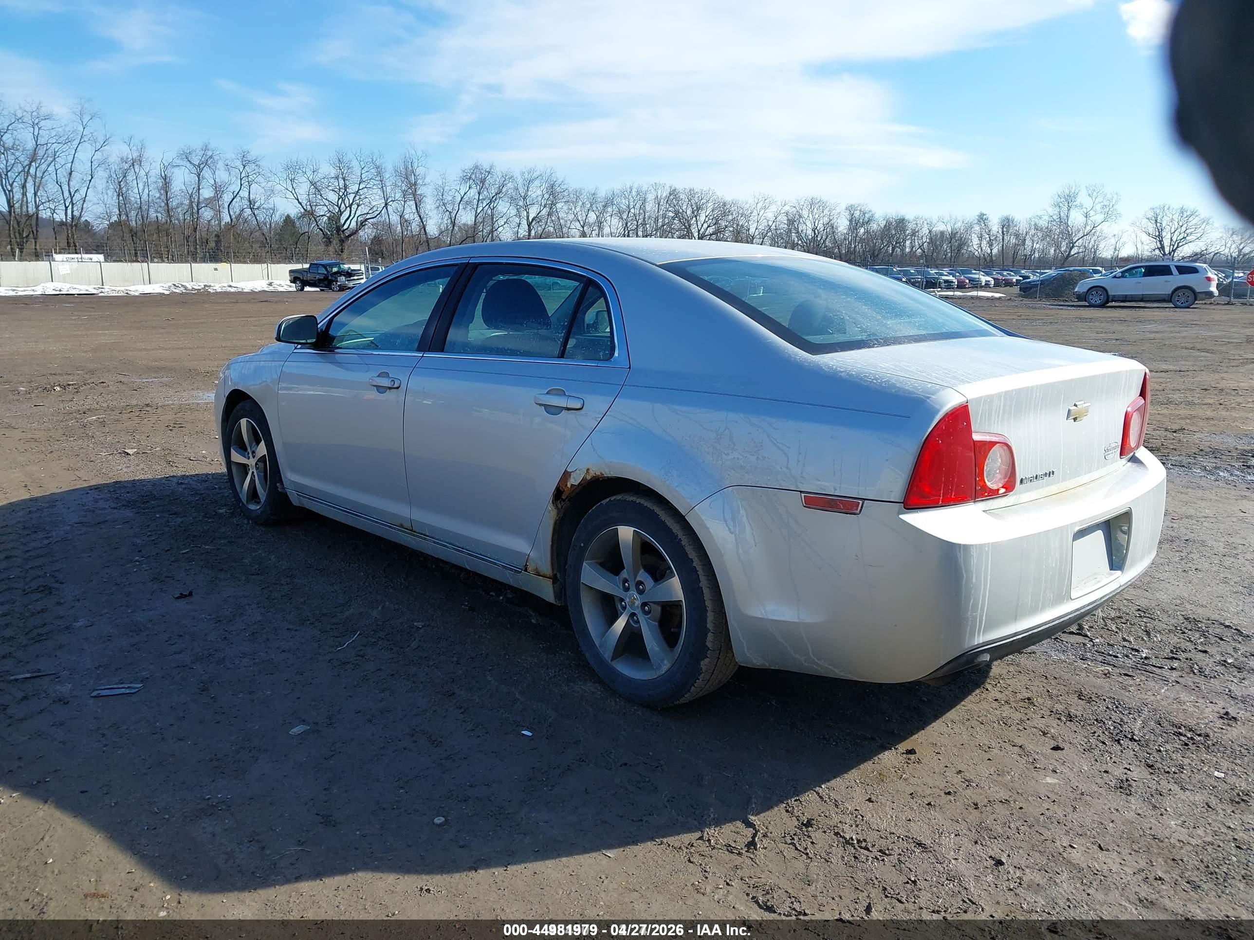 CHEVROLET MALIBU image 3