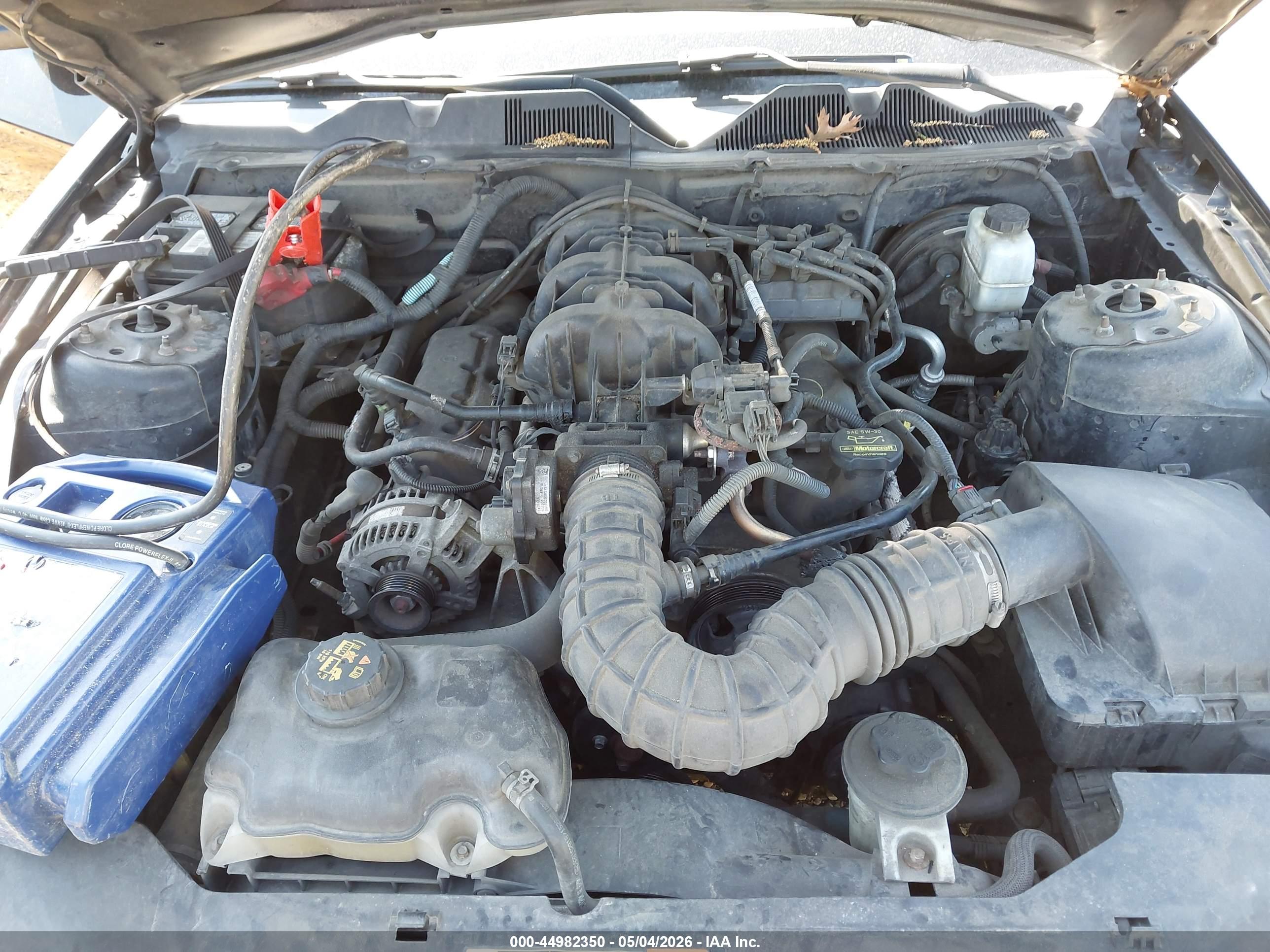 FORD MUSTANG image 10