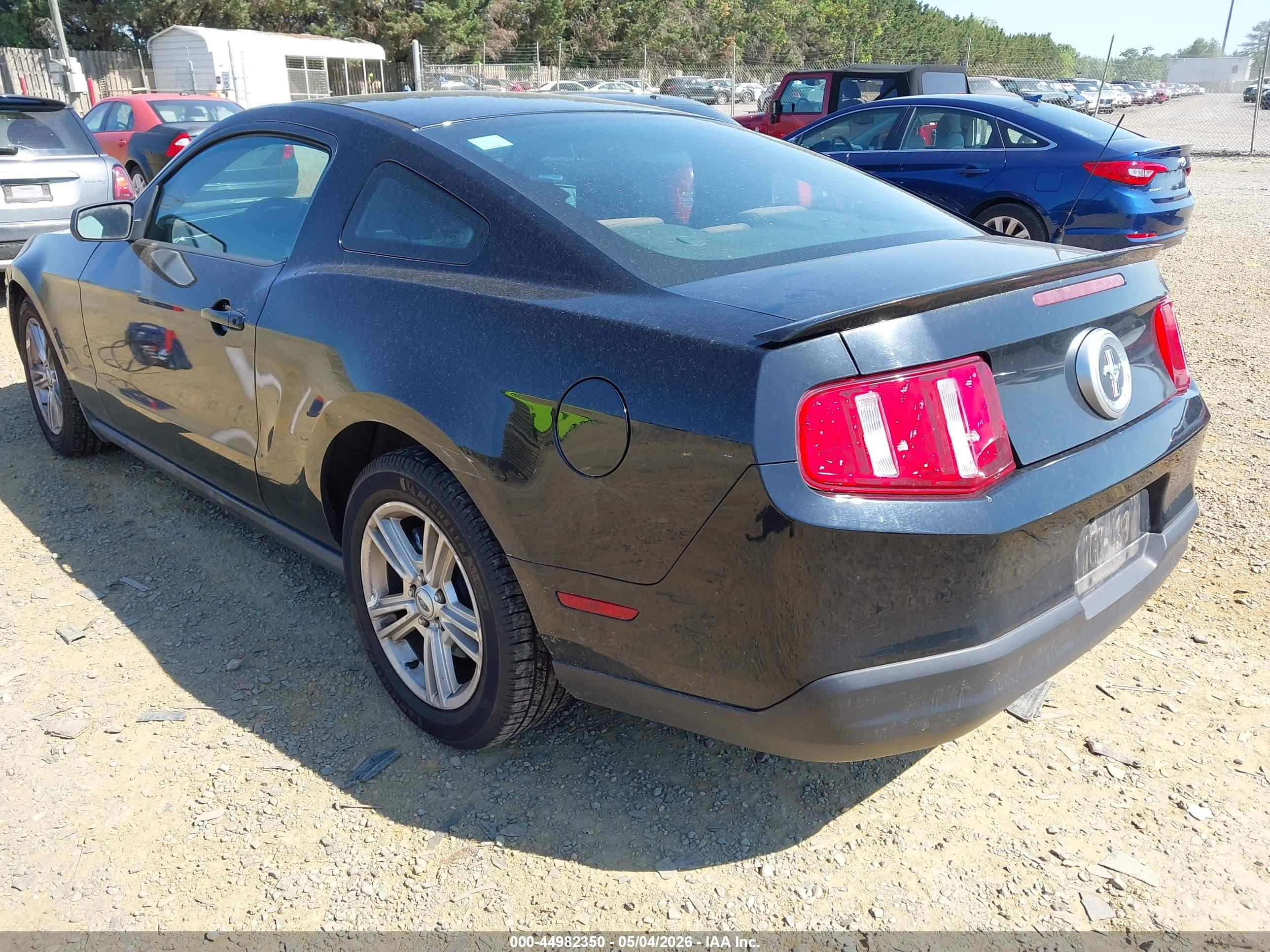 FORD MUSTANG image 3