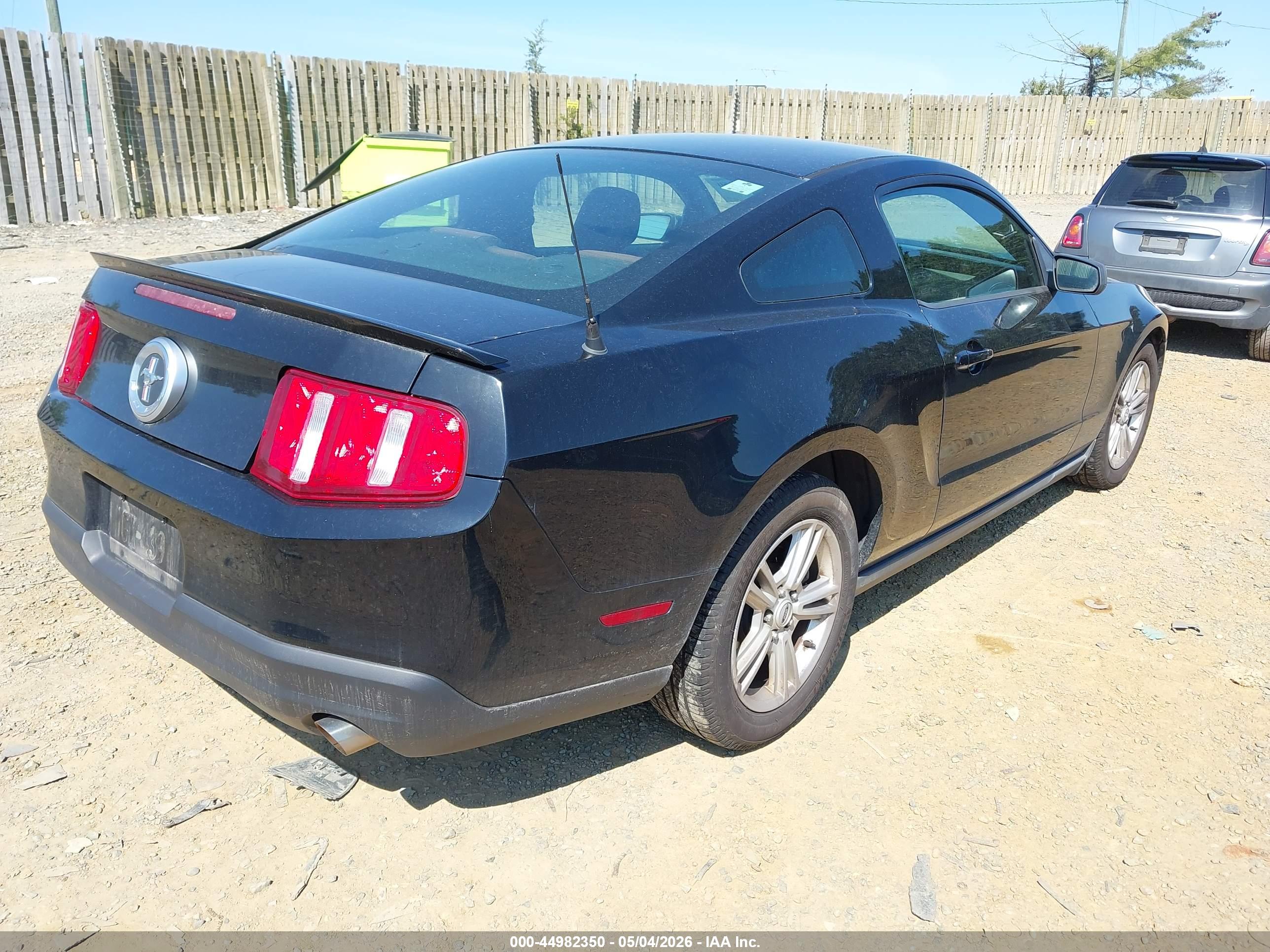 FORD MUSTANG image 4
