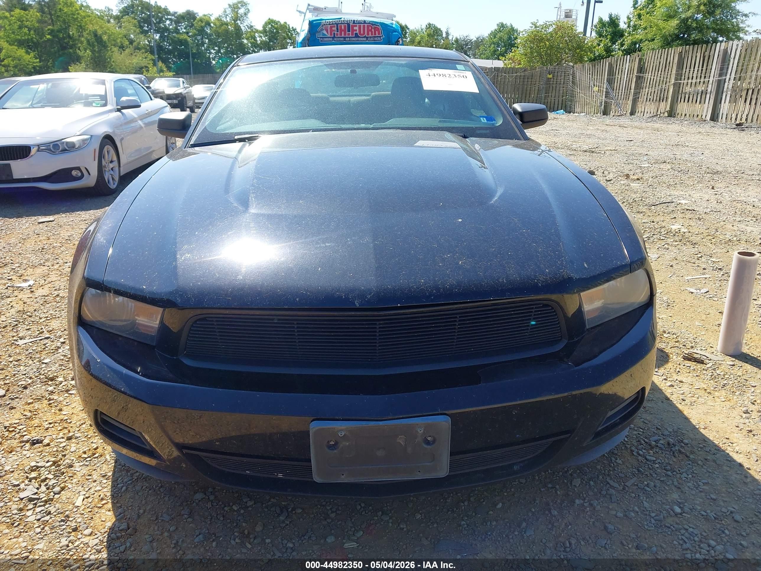 FORD MUSTANG image 6