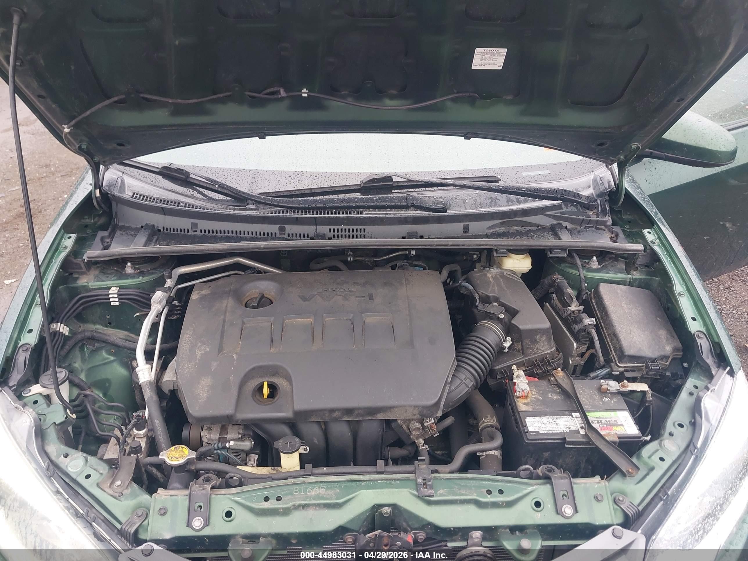 TOYOTA COROLLA image 10