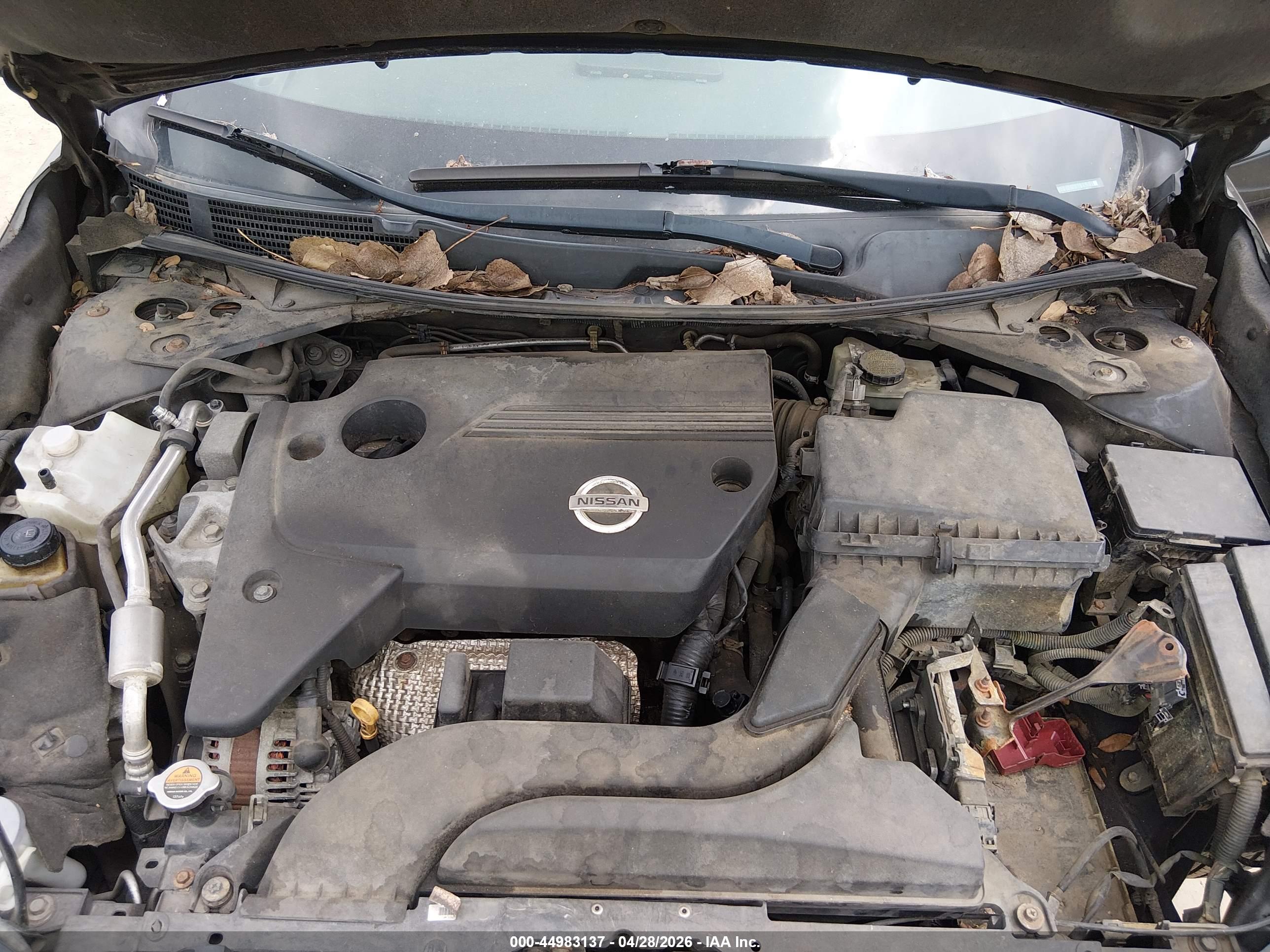 NISSAN ALTIMA image 10