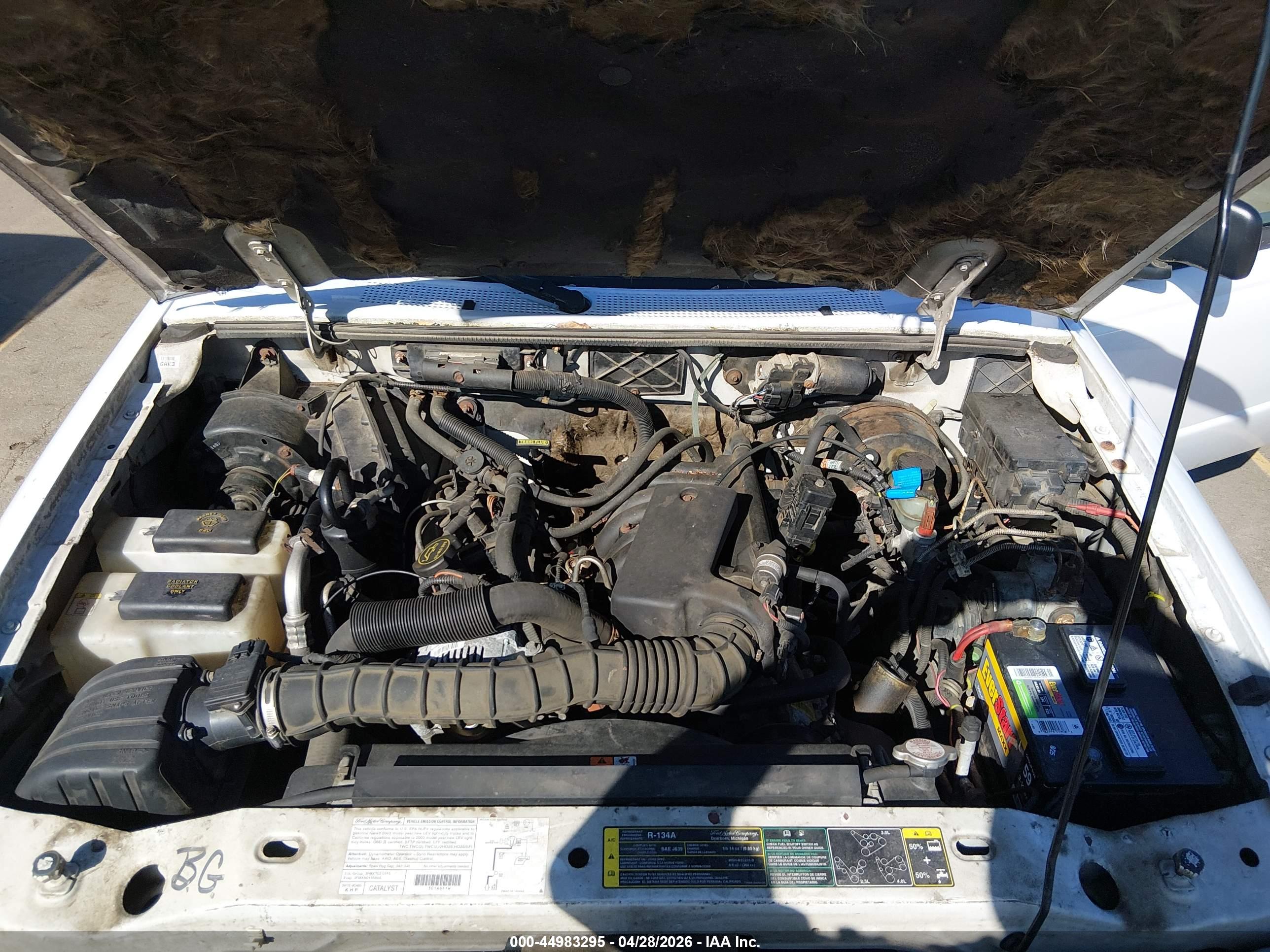 FORD RANGER image 10