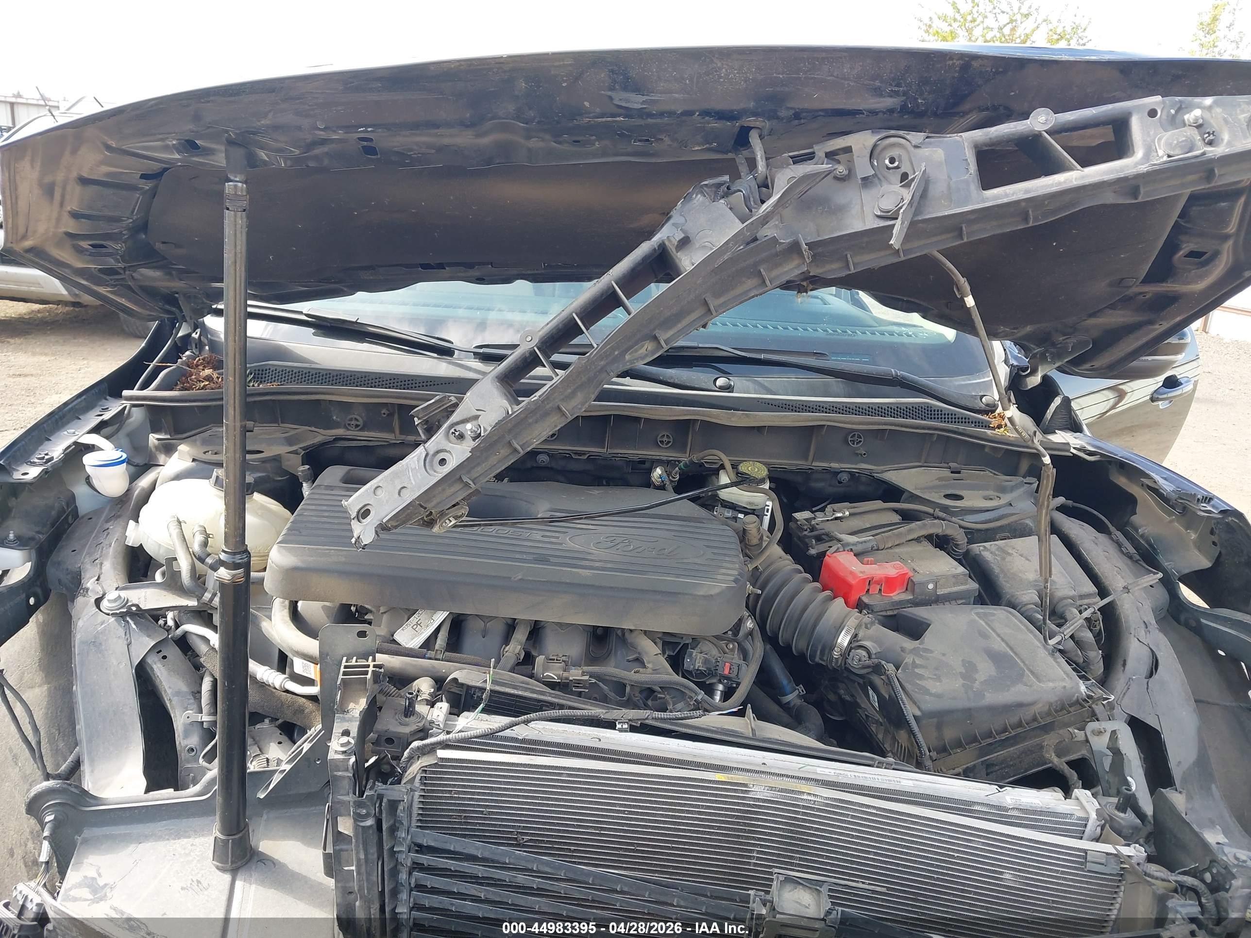 FORD ESCAPE image 10