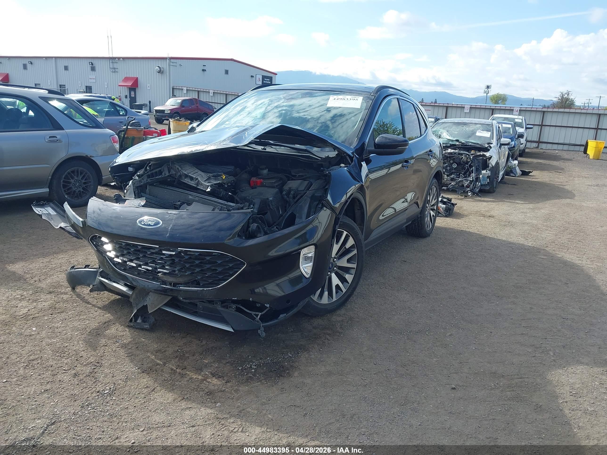 FORD ESCAPE image 2