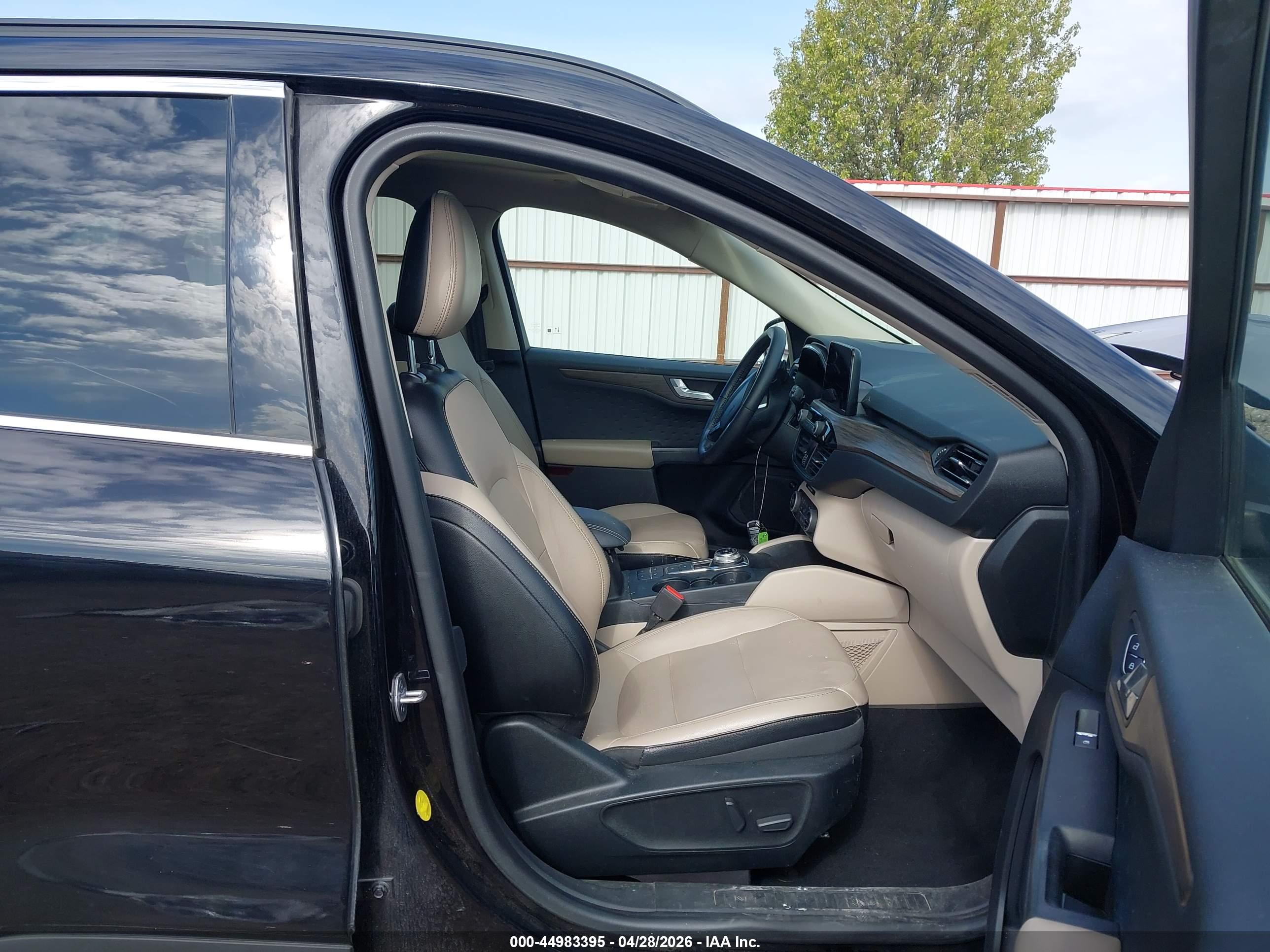 FORD ESCAPE image 5