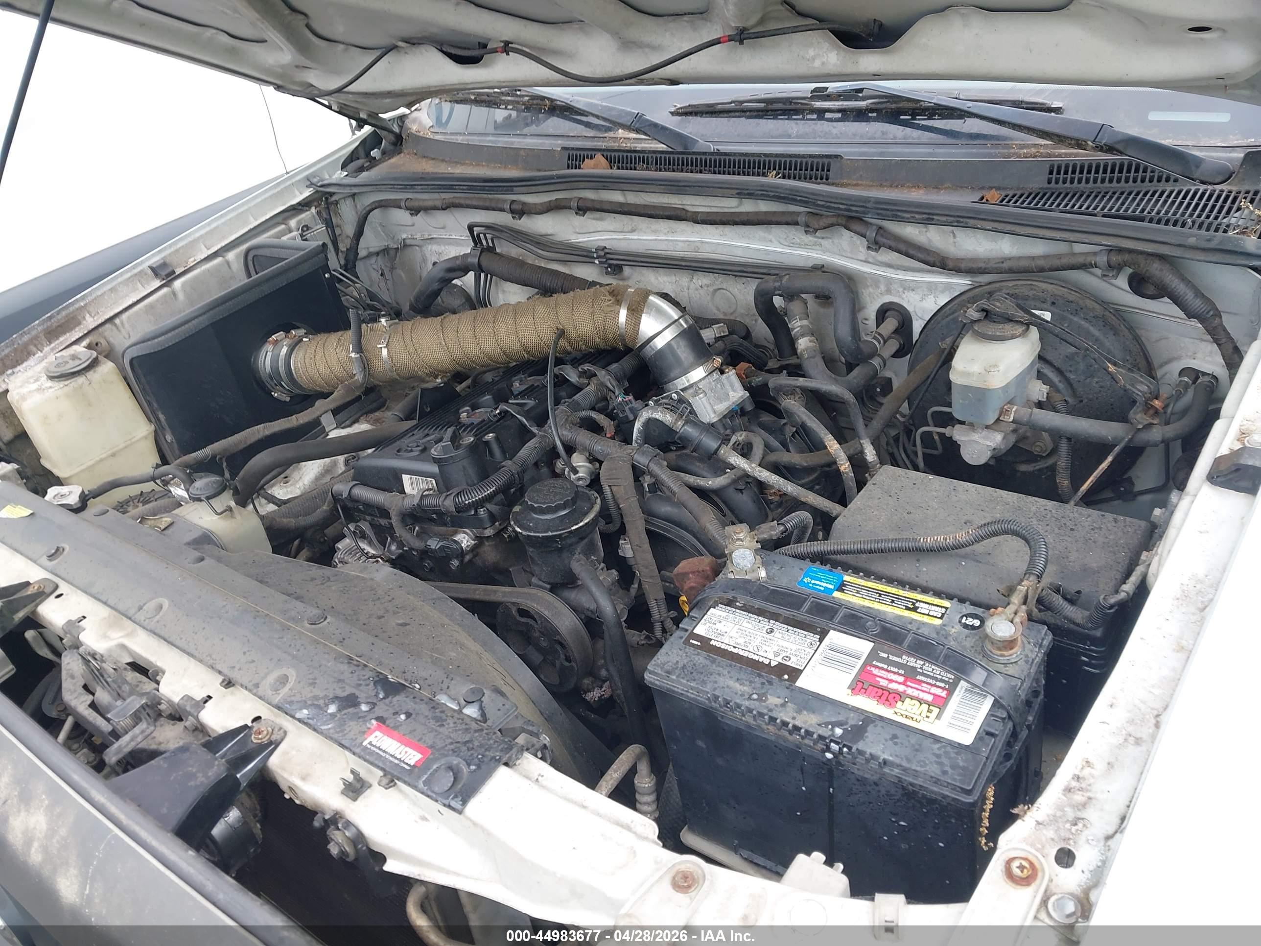 TOYOTA TACOMA image 10