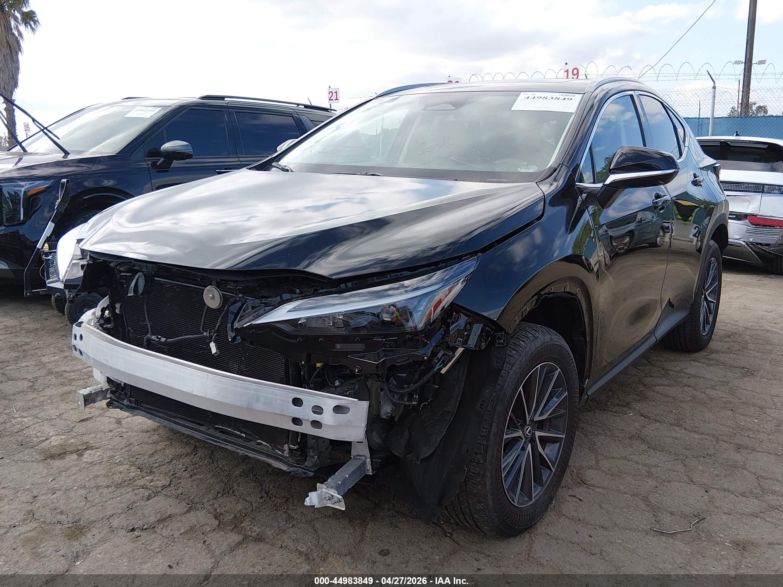 LEXUS NX image 2