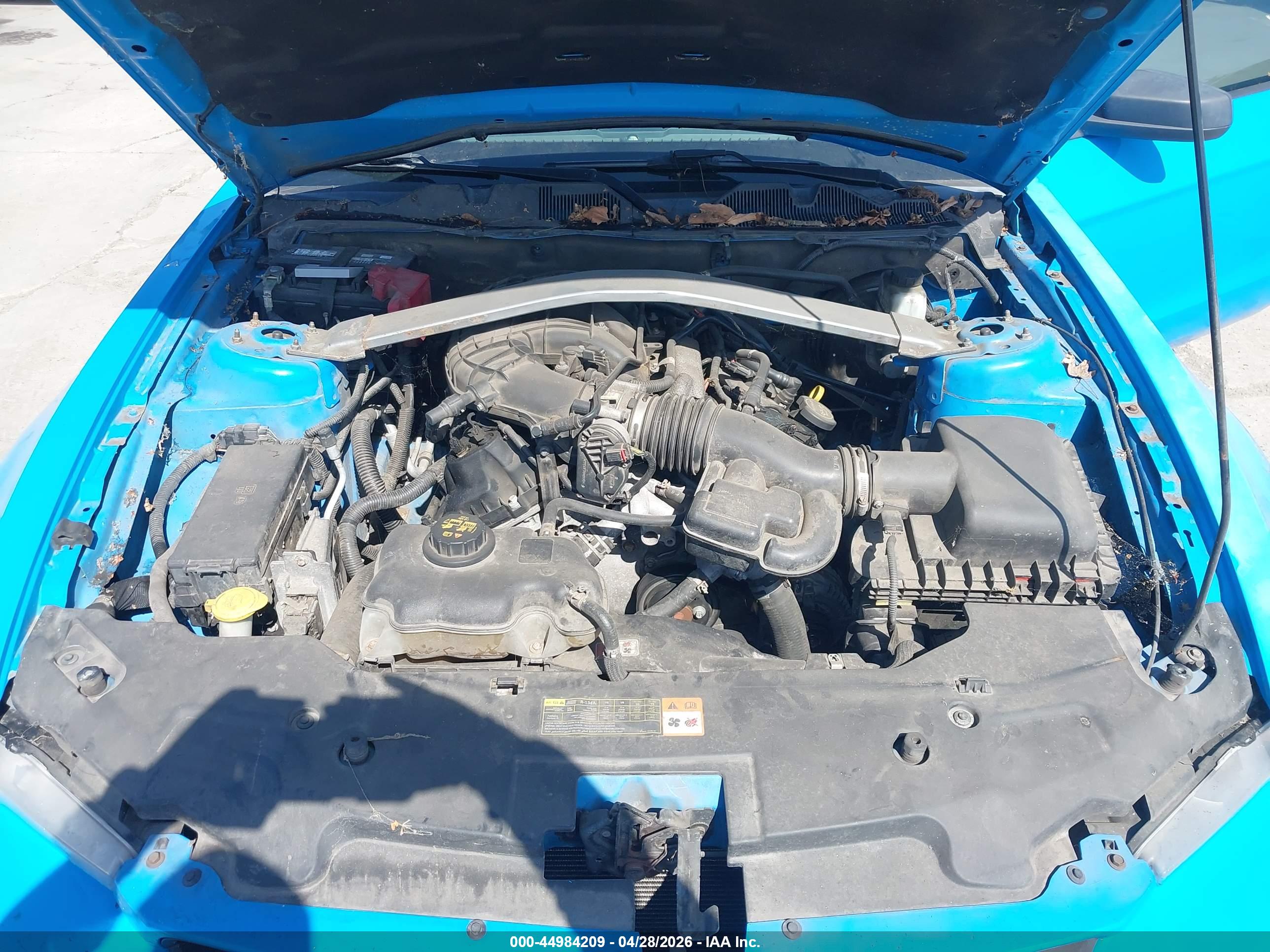 FORD MUSTANG image 10