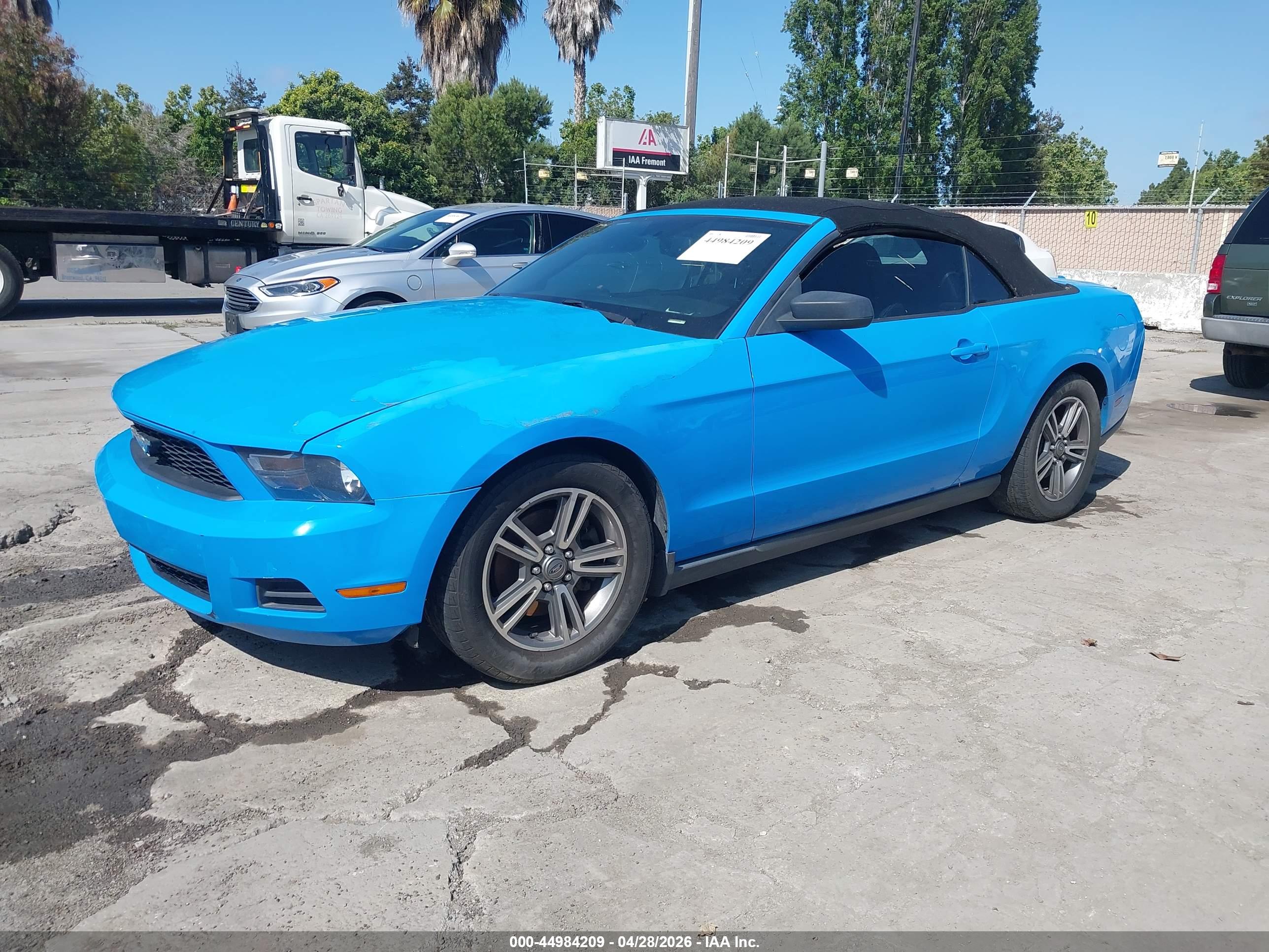 FORD MUSTANG image 2