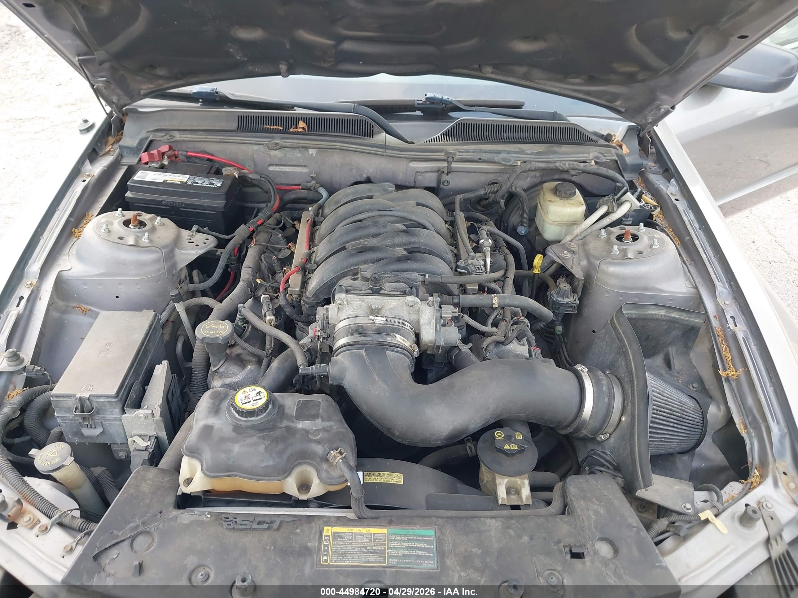 FORD MUSTANG image 10
