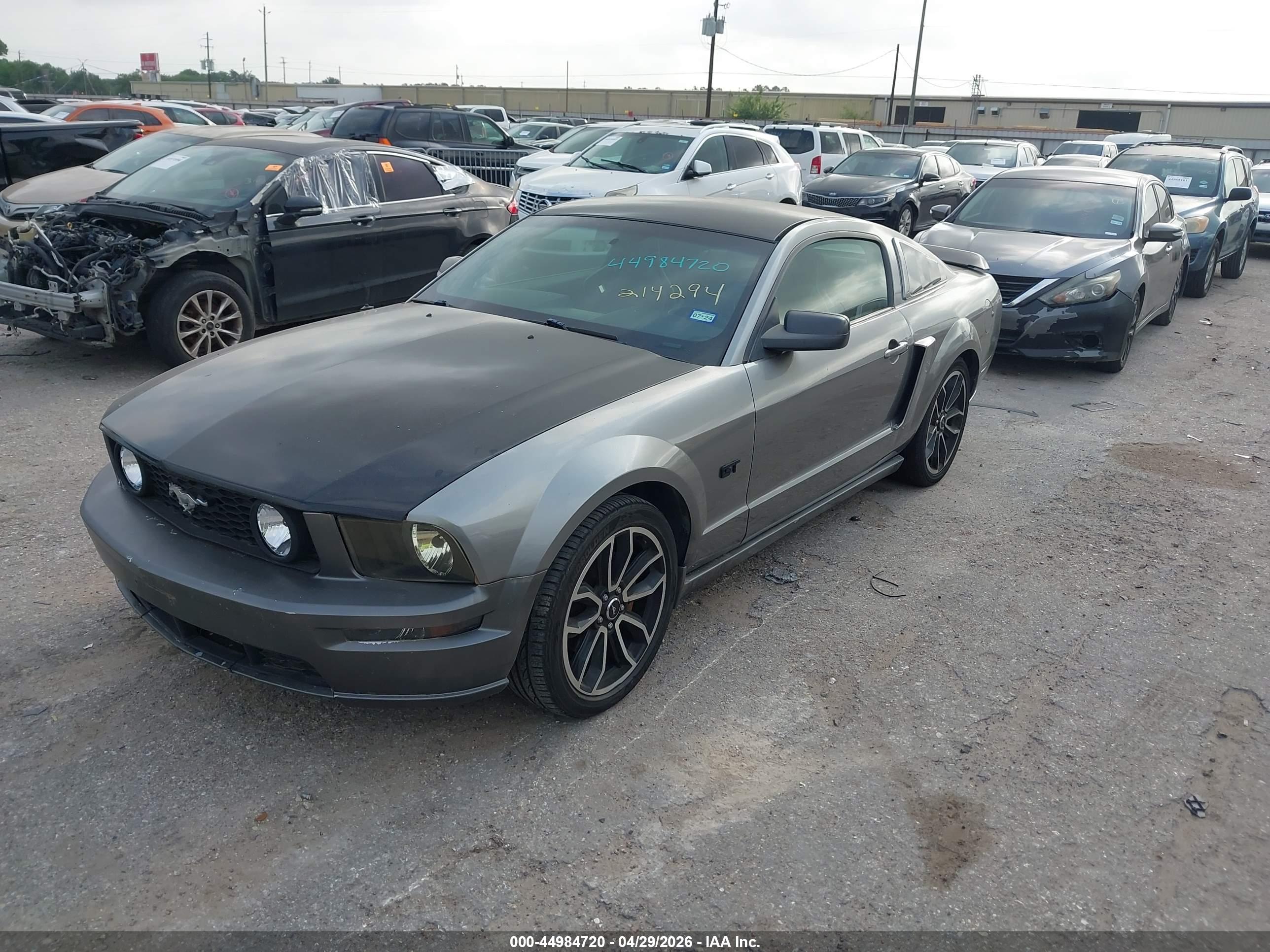 FORD MUSTANG image 2