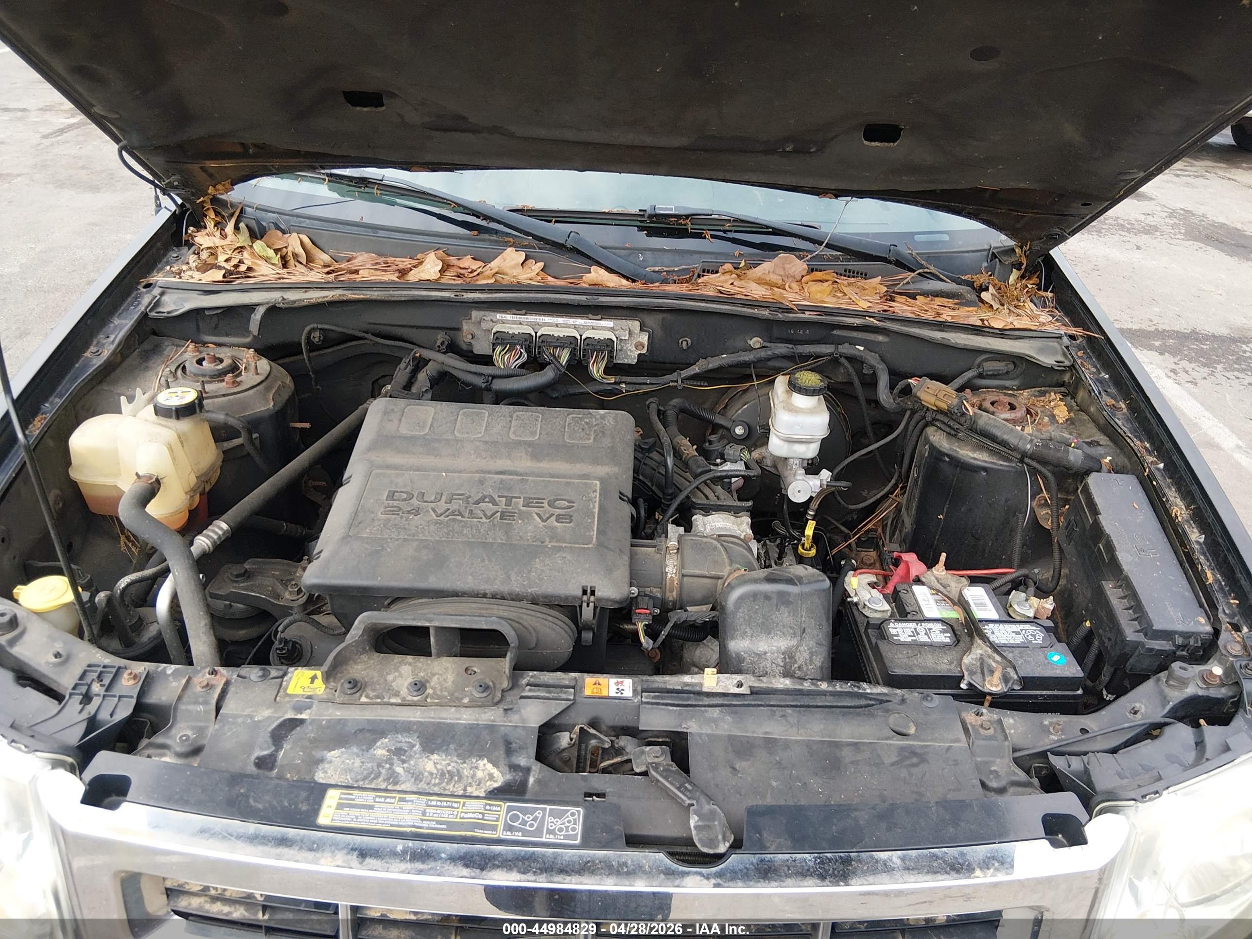 FORD ESCAPE image 10