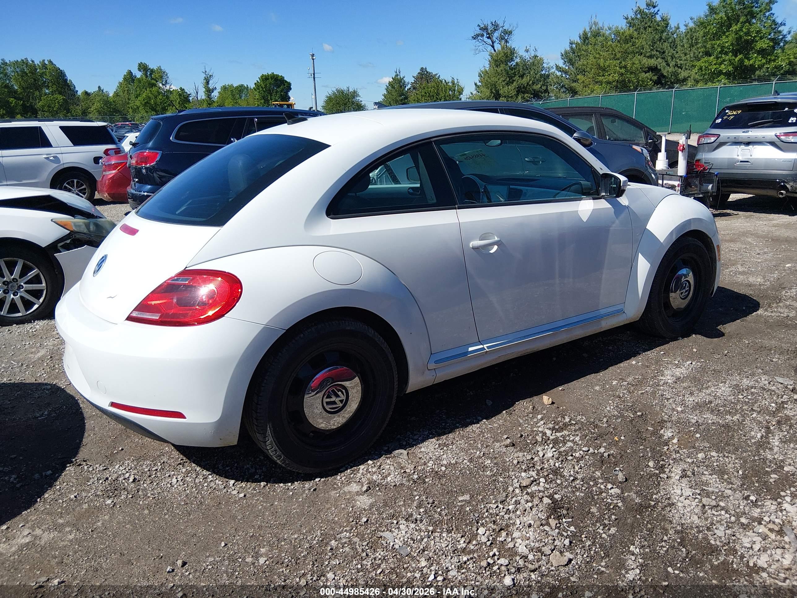 VOLKSWAGEN BEETLE image 4