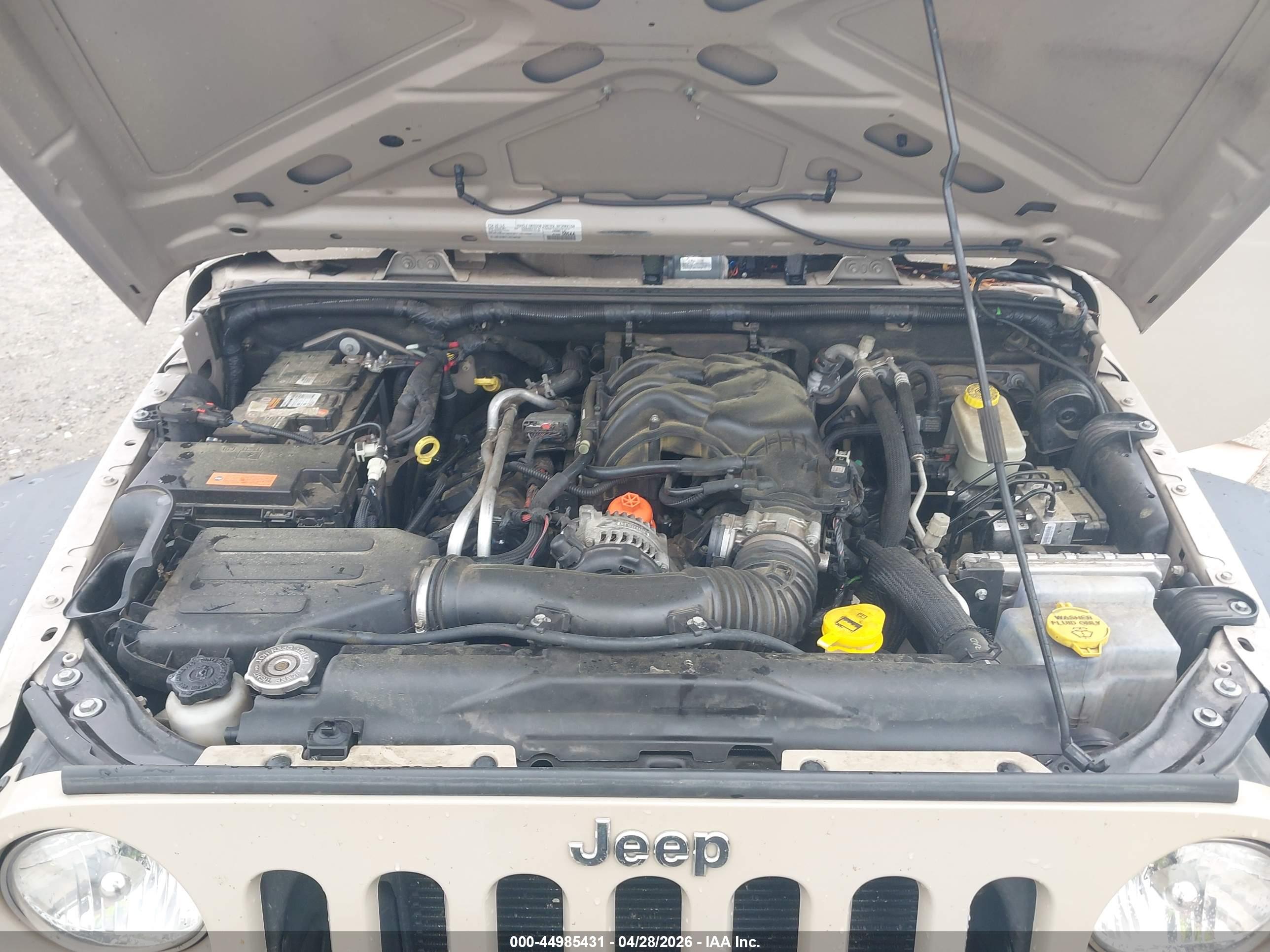 JEEP WRANGLER image 10