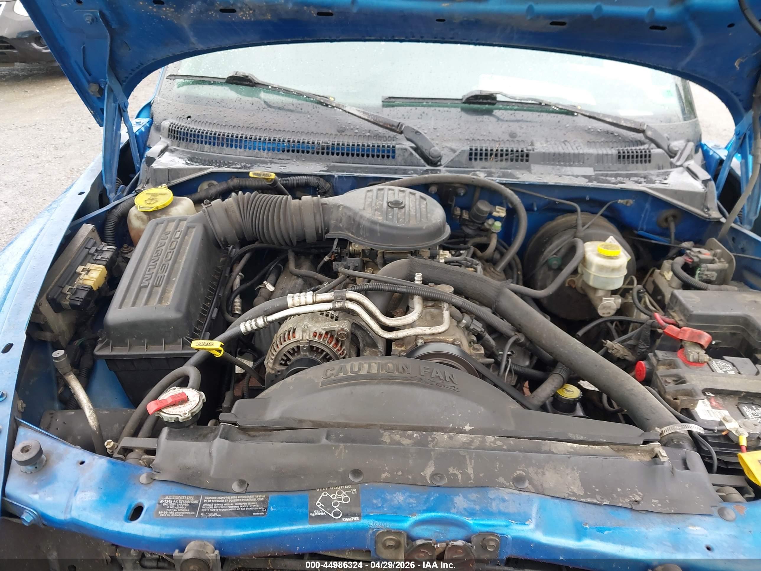 DODGE DAKOTA image 10
