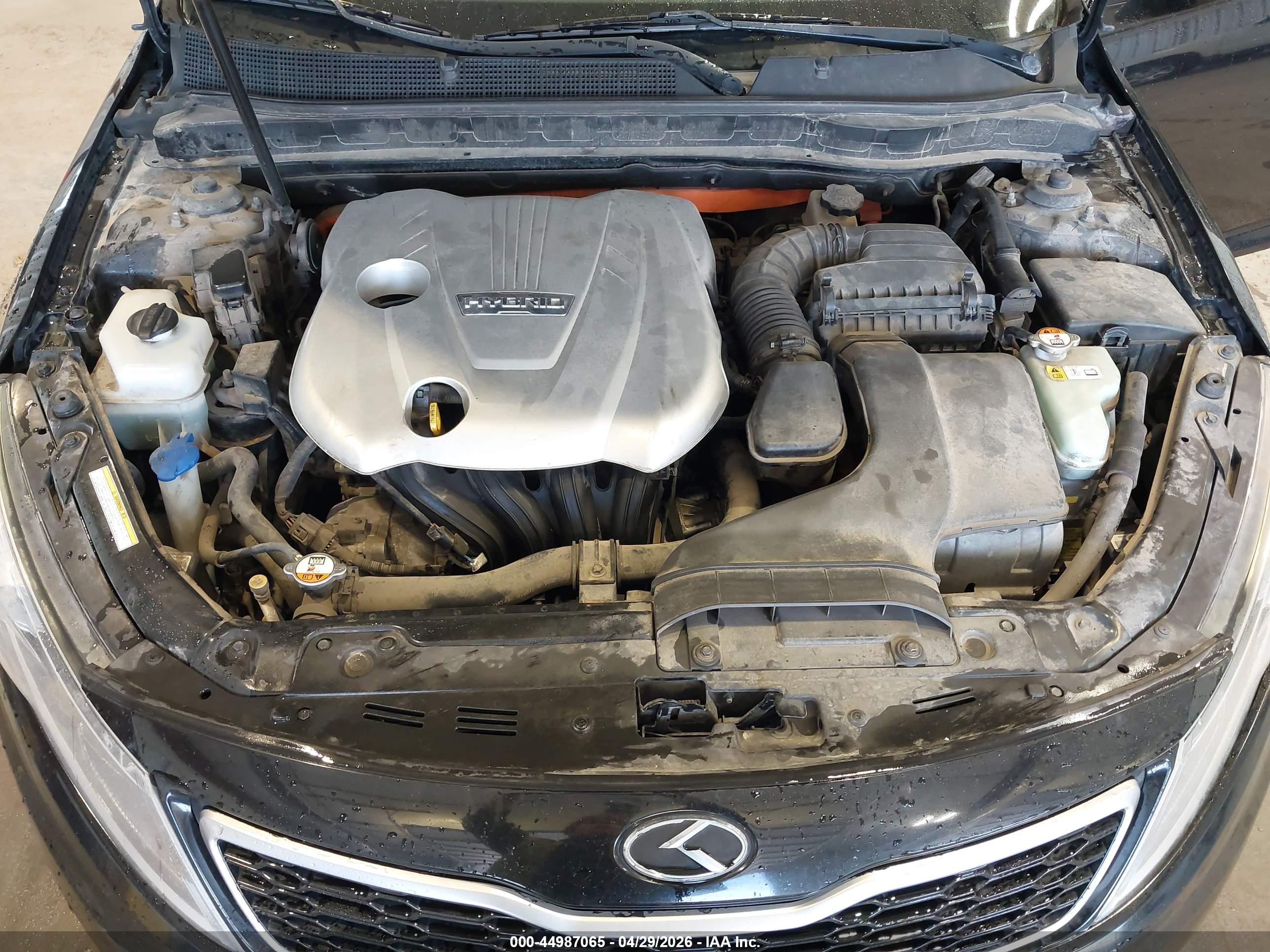 KIA OPTIMA image 10