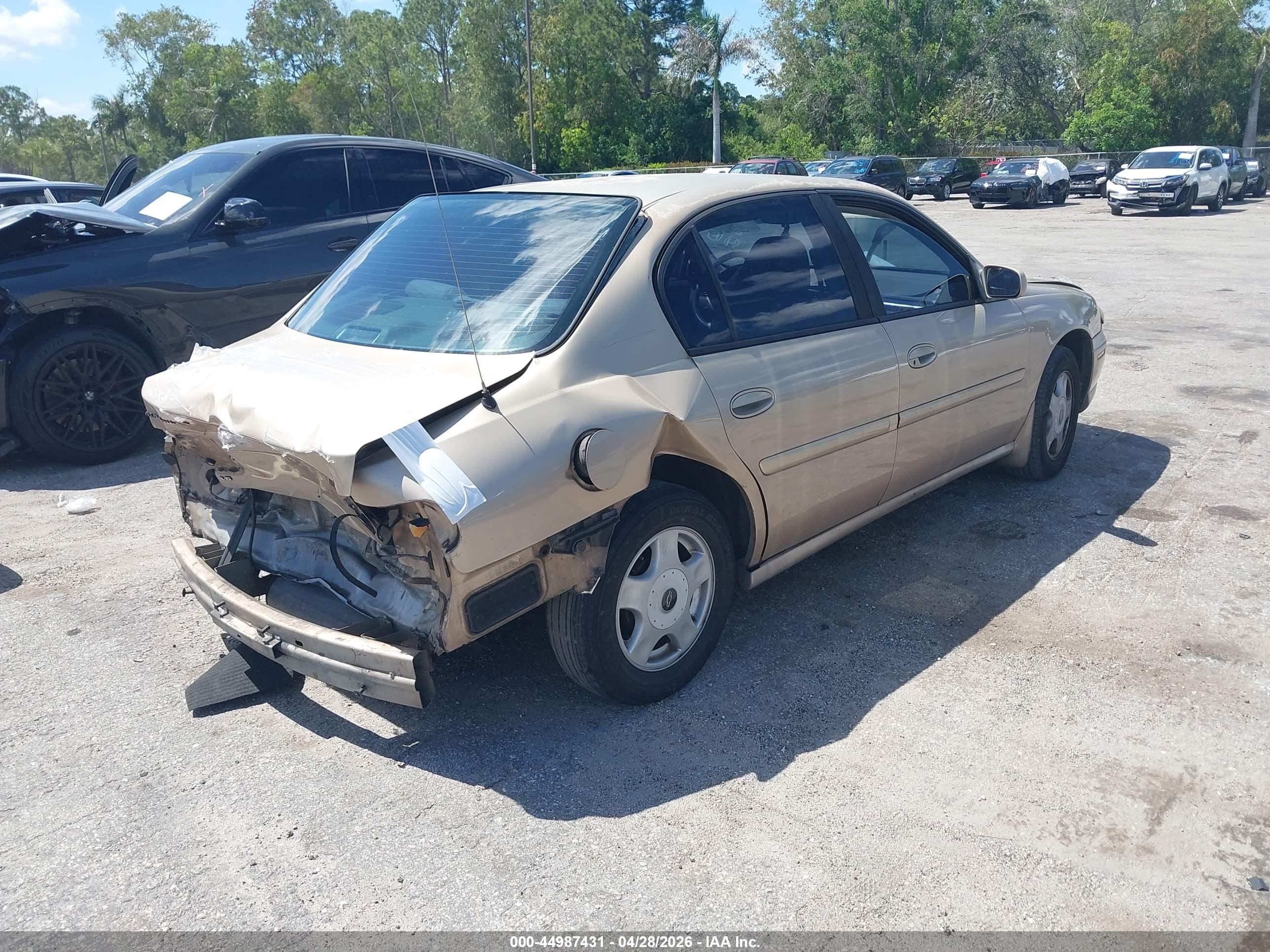 CHEVROLET MALIBU image 4