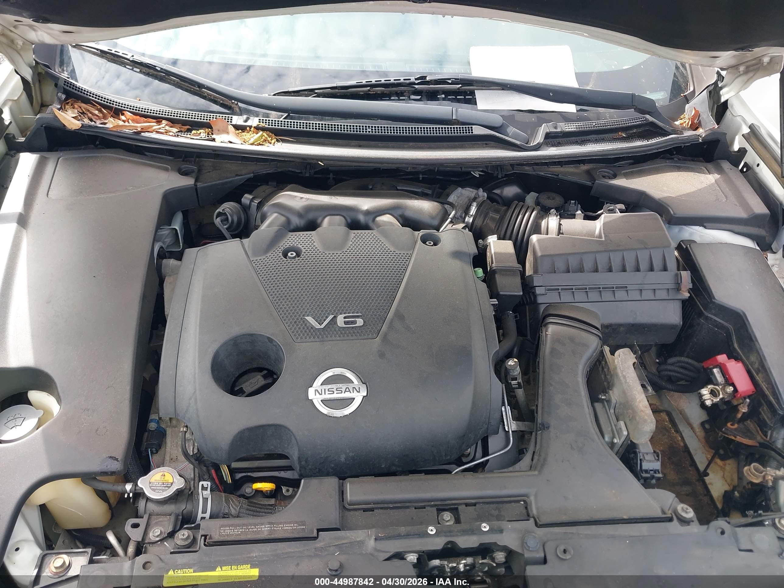NISSAN MAXIMA image 10