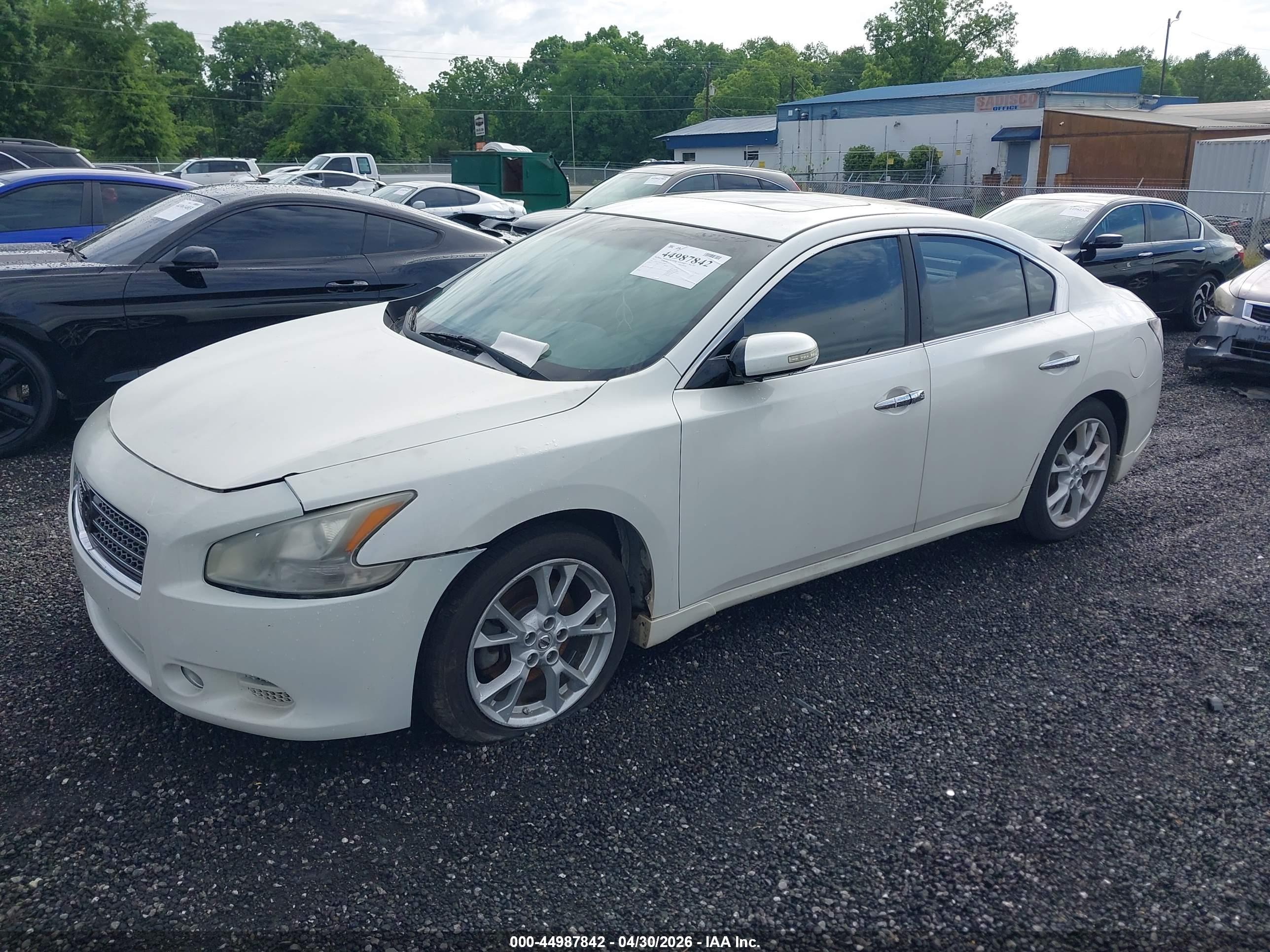 NISSAN MAXIMA image 2