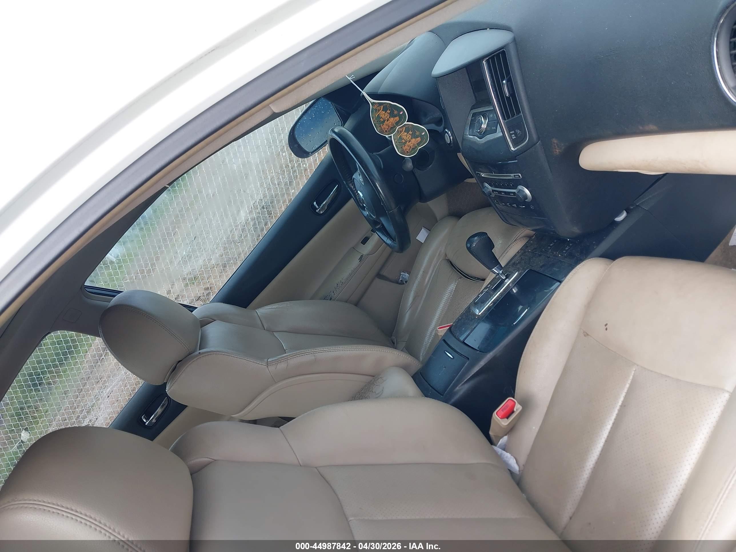 NISSAN MAXIMA image 5