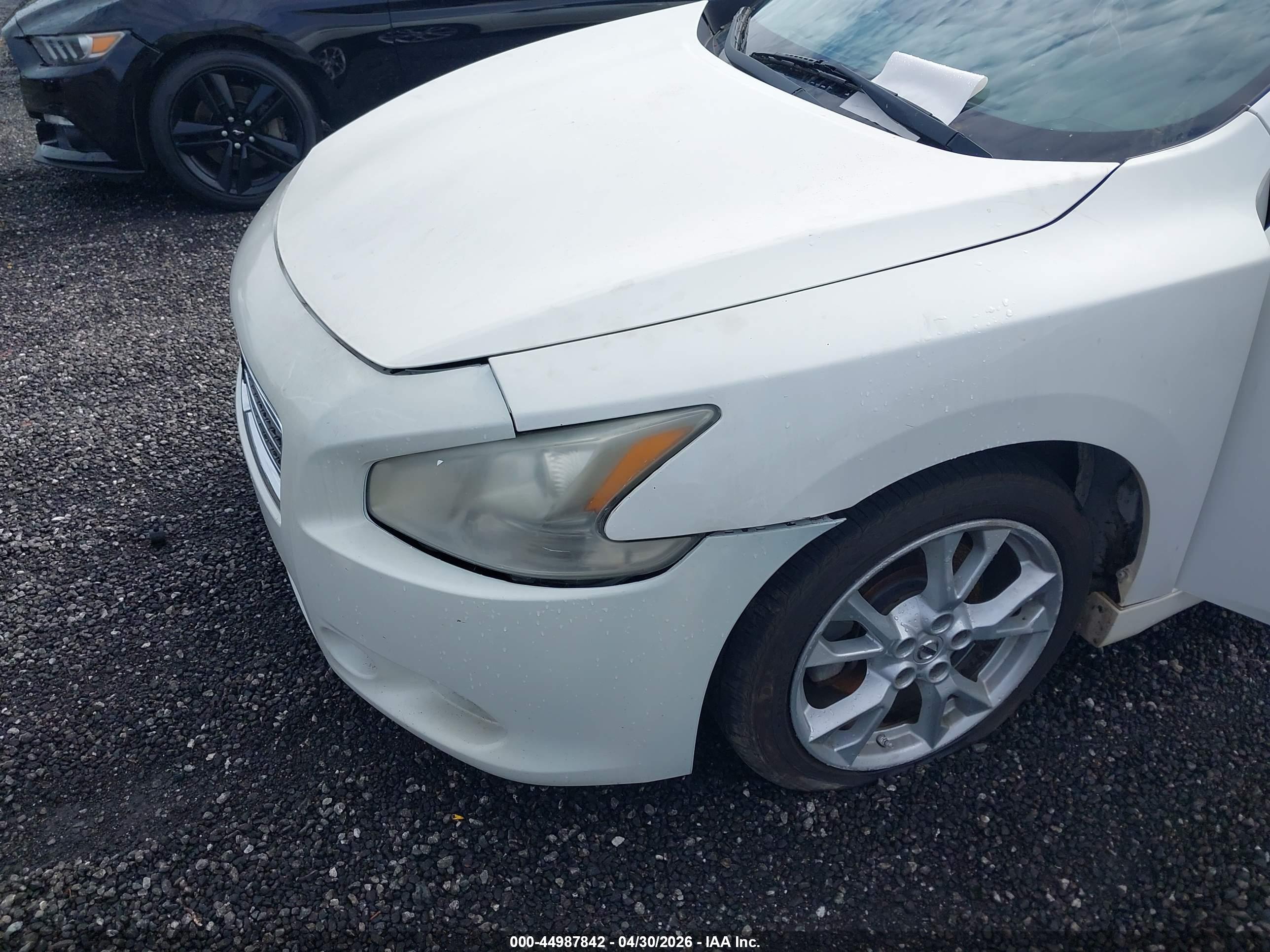NISSAN MAXIMA image 6